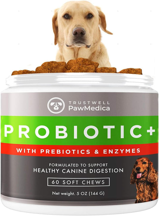 USA-Made Pet Probiotic Chews for Dogs with Digestive Enzymes - 60 Treats for Digestive Support