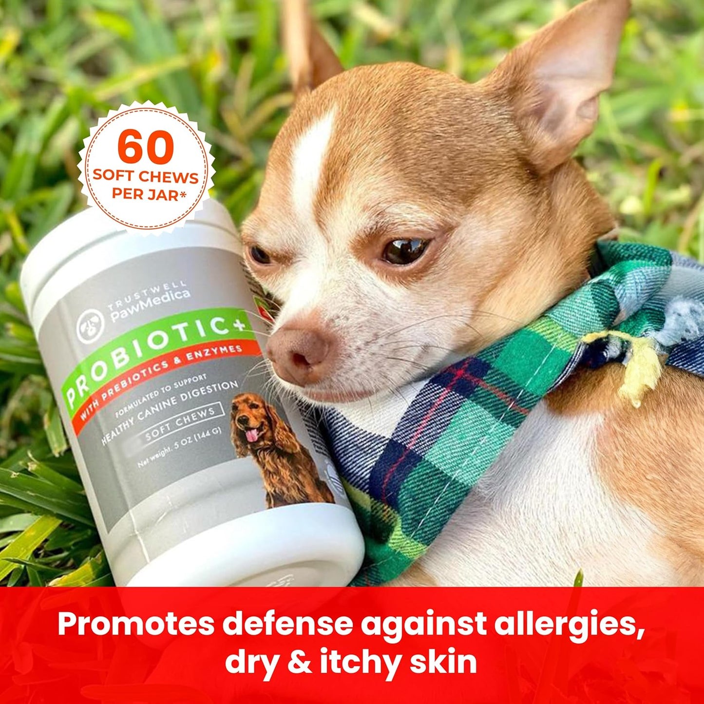 USA-Made Pet Probiotic Chews for Dogs with Digestive Enzymes - 60 Treats for Digestive Support