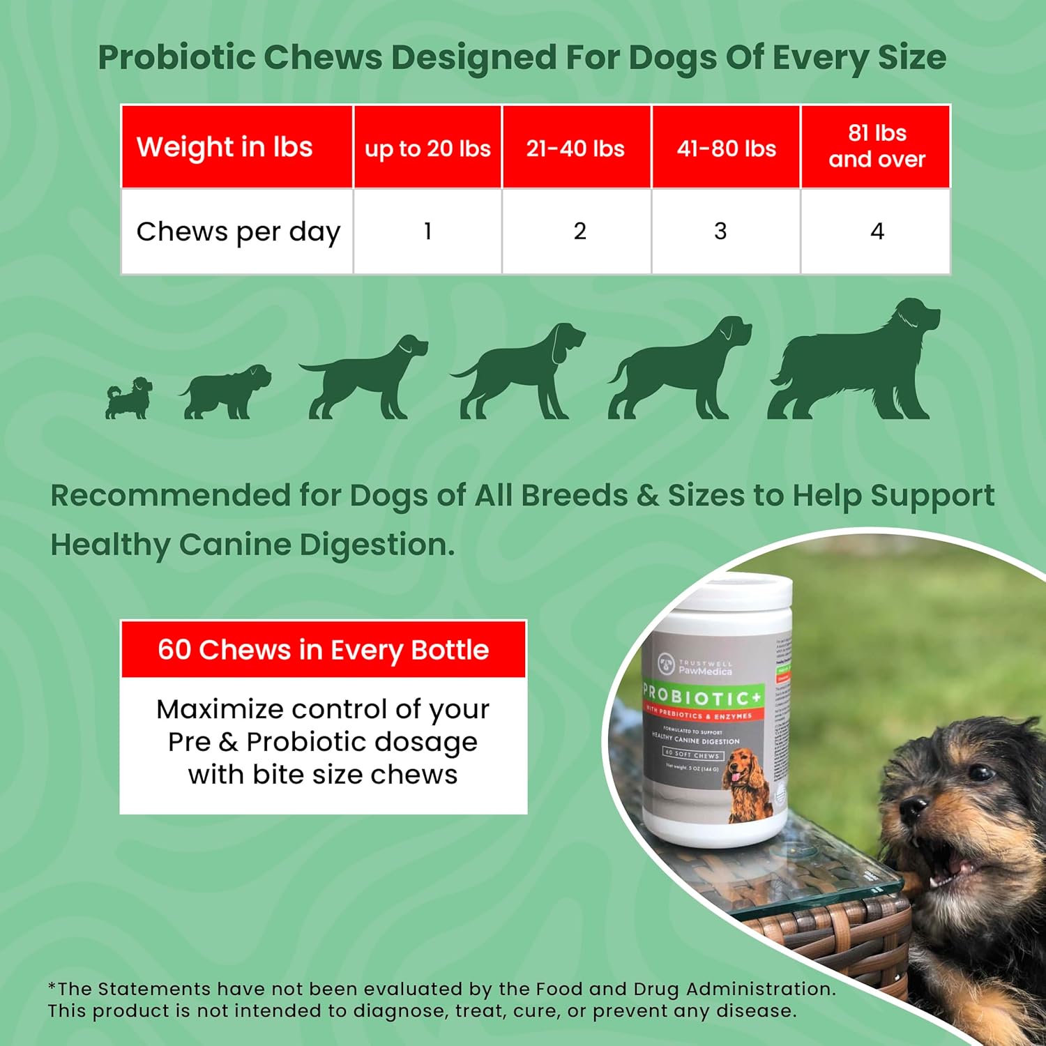 USA-Made Pet Probiotic Chews for Dogs with Digestive Enzymes - 60 Treats for Digestive Support