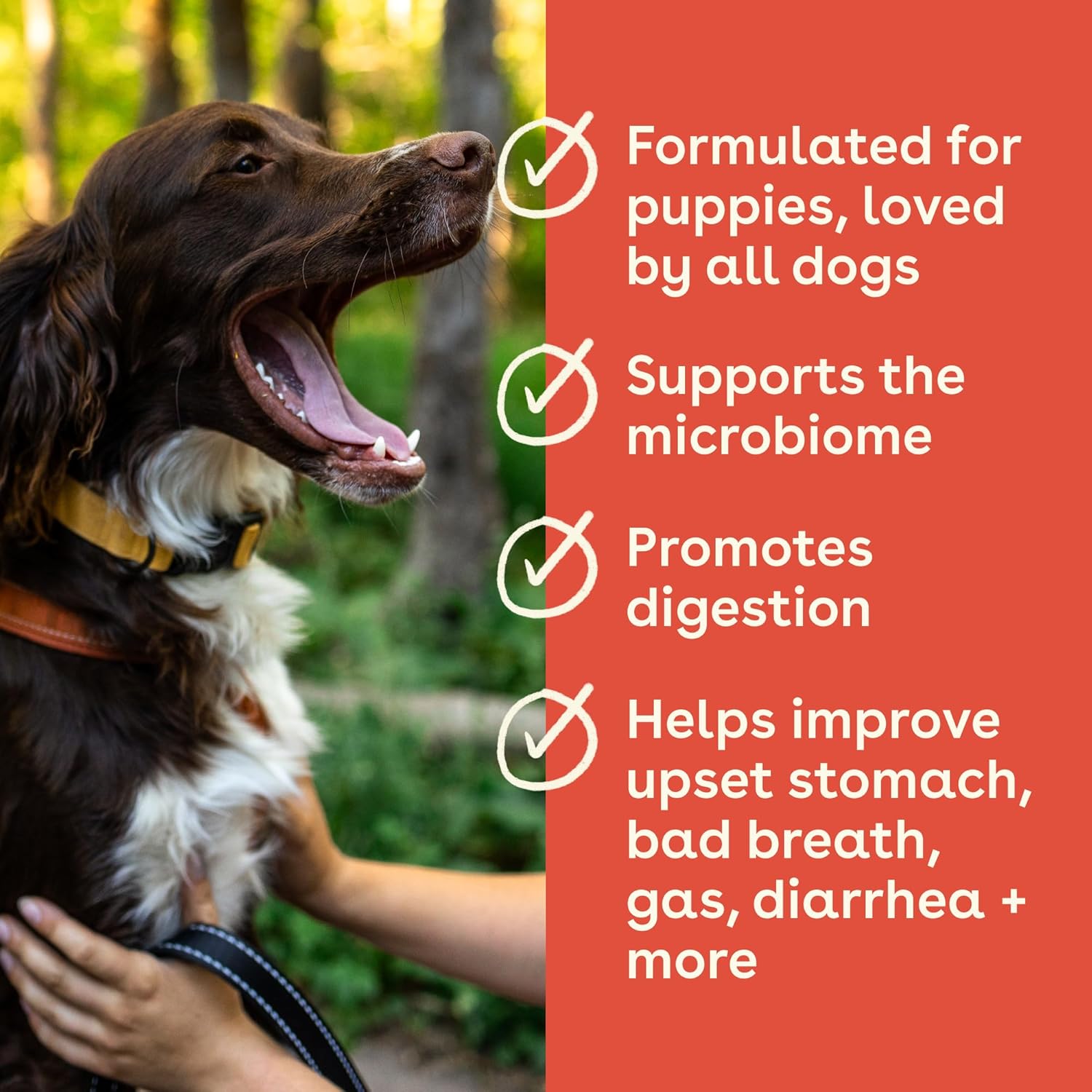 USA Made Pupford Immunity & Gut Health Supplement for Puppies & Dogs, Vet Approved, No Artificial Flavors - Peanut Butter & Jelly - 6.3 oz