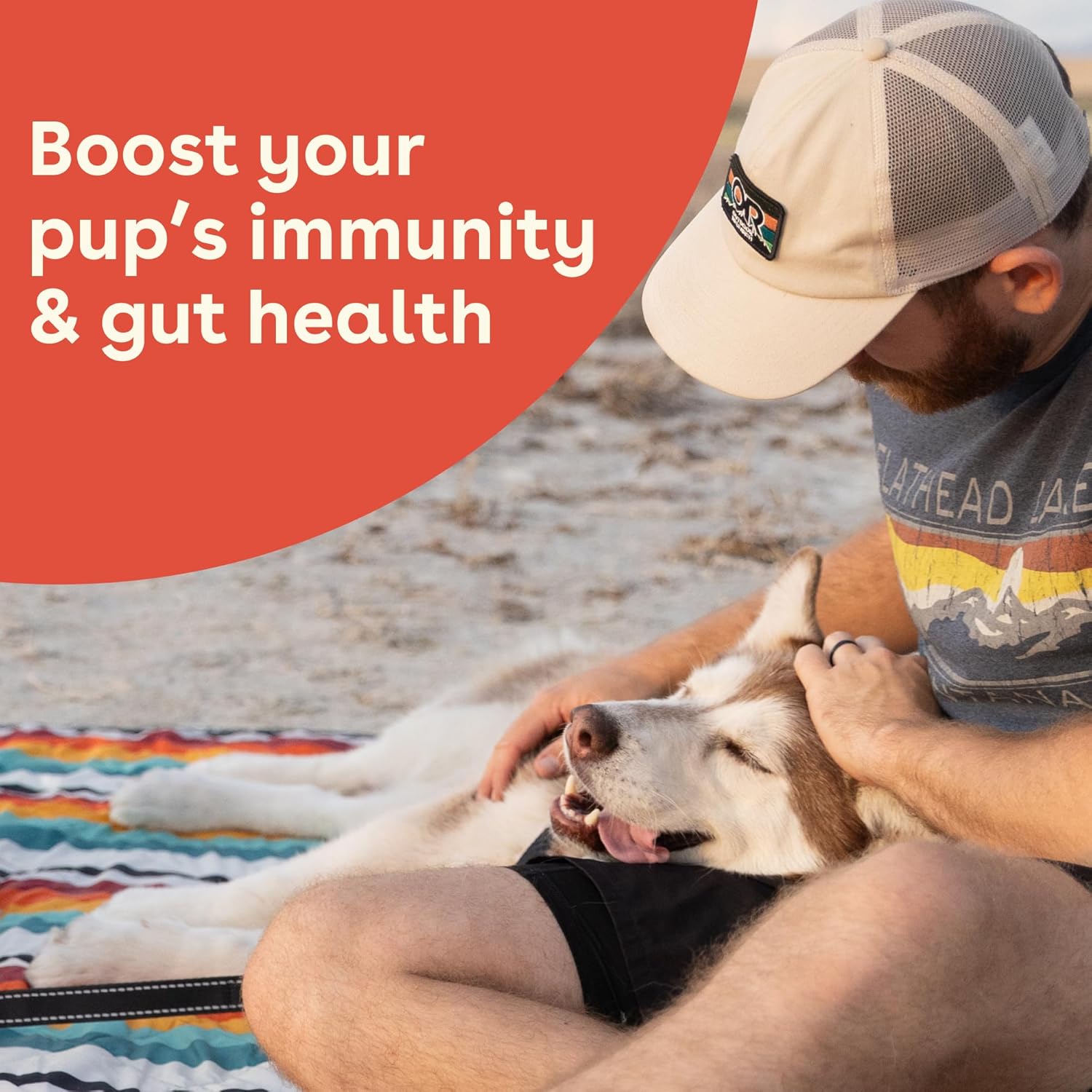 USA Made Pupford Immunity & Gut Health Supplement for Puppies & Dogs, Vet Approved, No Artificial Flavors - Peanut Butter & Jelly - 6.3 oz