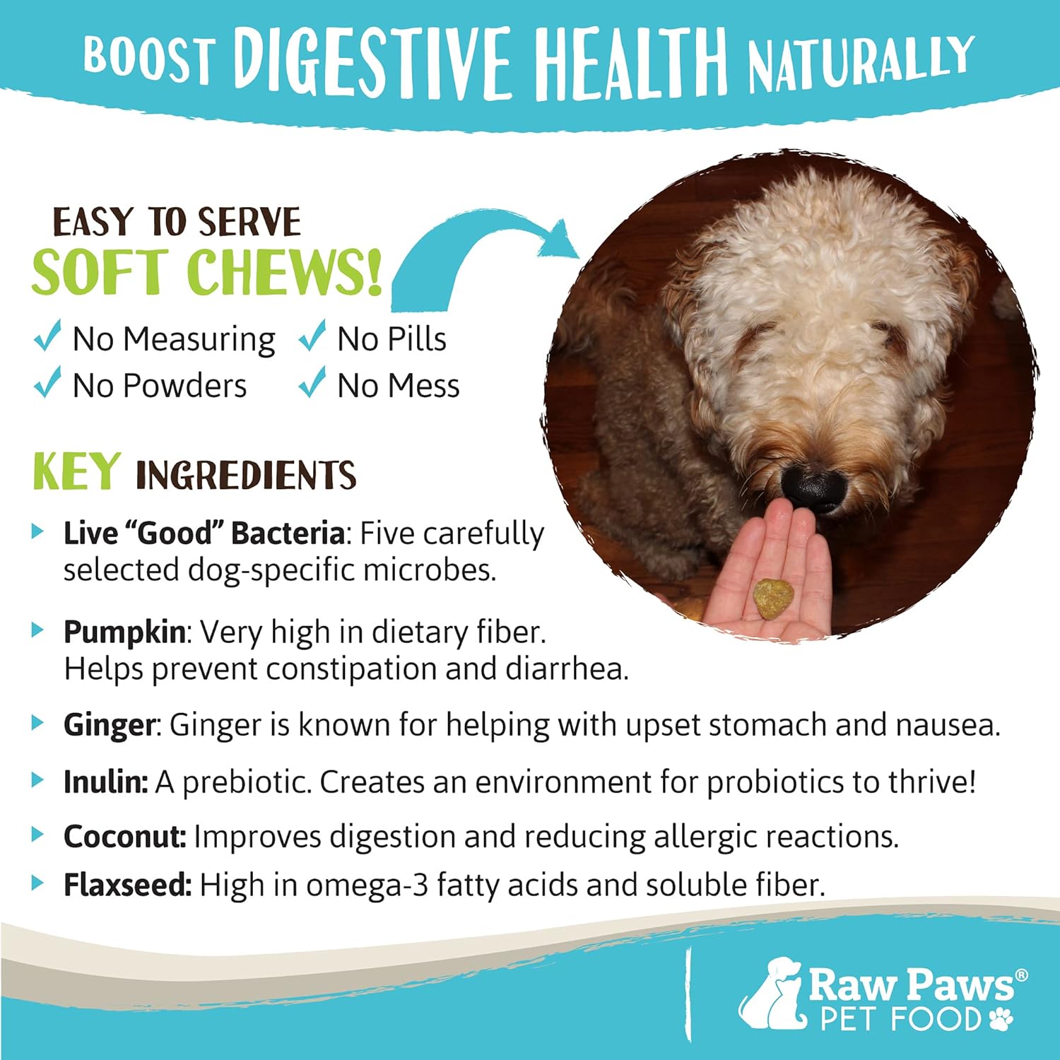 USA Made Raw Paws Natural Dog Probiotic Soft Chews - 10-oz/100-ct - Daily Probiotic with Prebiotics for Dogs - Manage Diarrhea, Yeast, Dog Breath & Gas