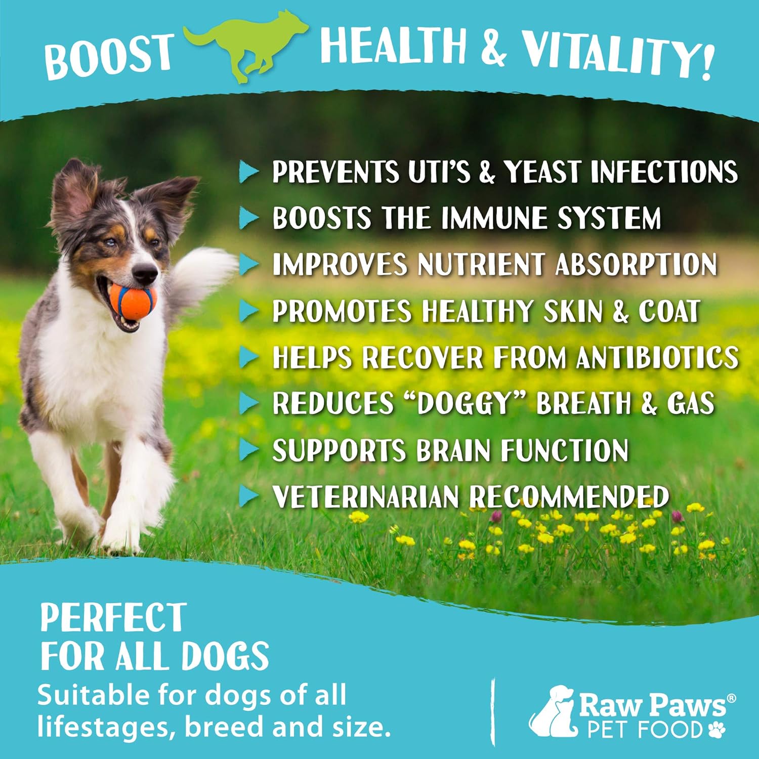 USA Made Raw Paws Natural Dog Probiotic Soft Chews - 10-oz/100-ct - Daily Probiotic with Prebiotics for Dogs - Manage Diarrhea, Yeast, Dog Breath & Gas