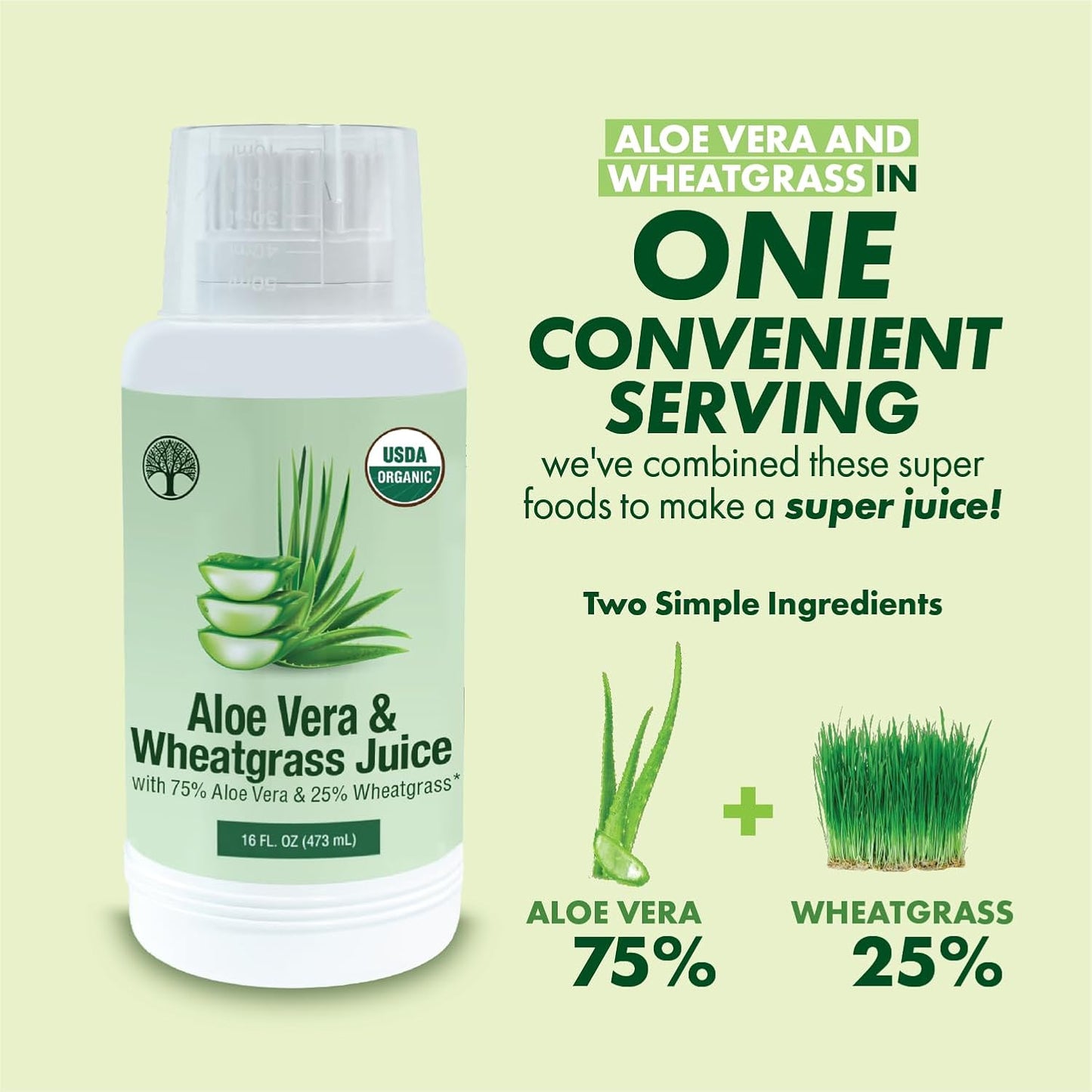 USDA Certified Aloe Juice Shots with Wheatgrass & Flavorall for Gut Detox, Immunity & Skin - Pineapple Flavor, 30-Day Supply