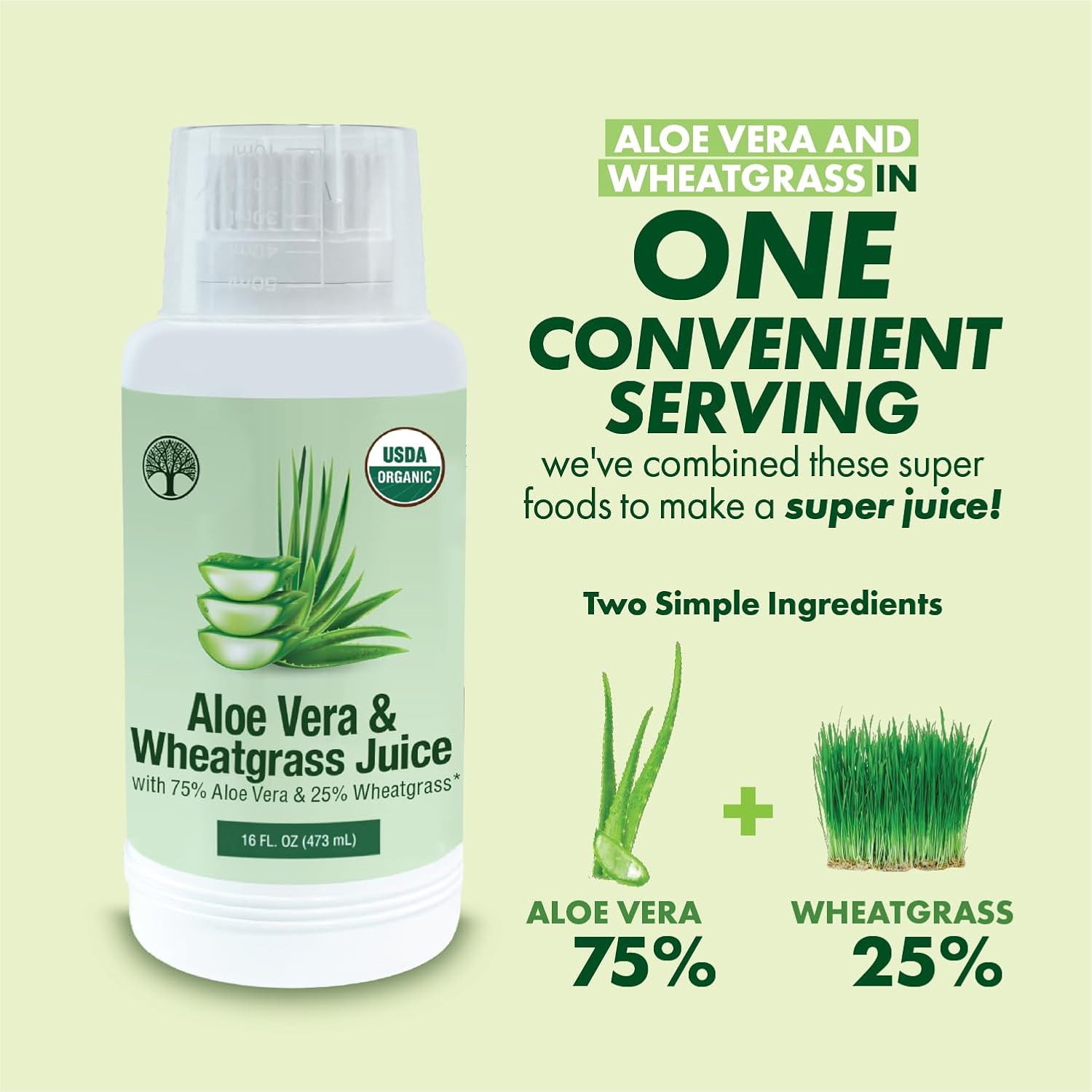 USDA Certified Aloe Juice Shots with Wheatgrass & Flavorall for Gut Detox, Immunity & Skin - Pineapple Flavor, 30-Day Supply