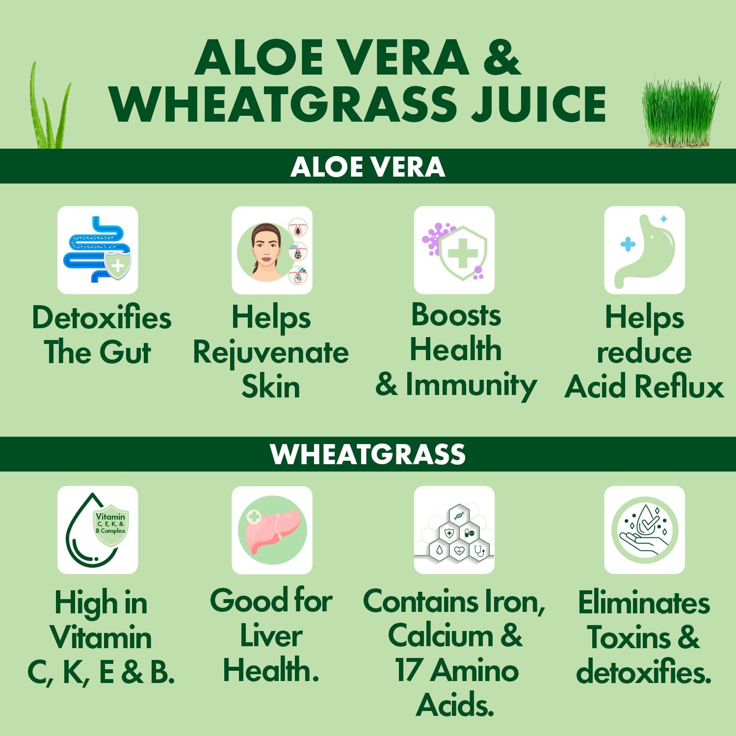 USDA Certified Aloe Juice Shots with Wheatgrass & Flavorall for Gut Detox, Immunity & Skin - Pineapple Flavor, 30-Day Supply