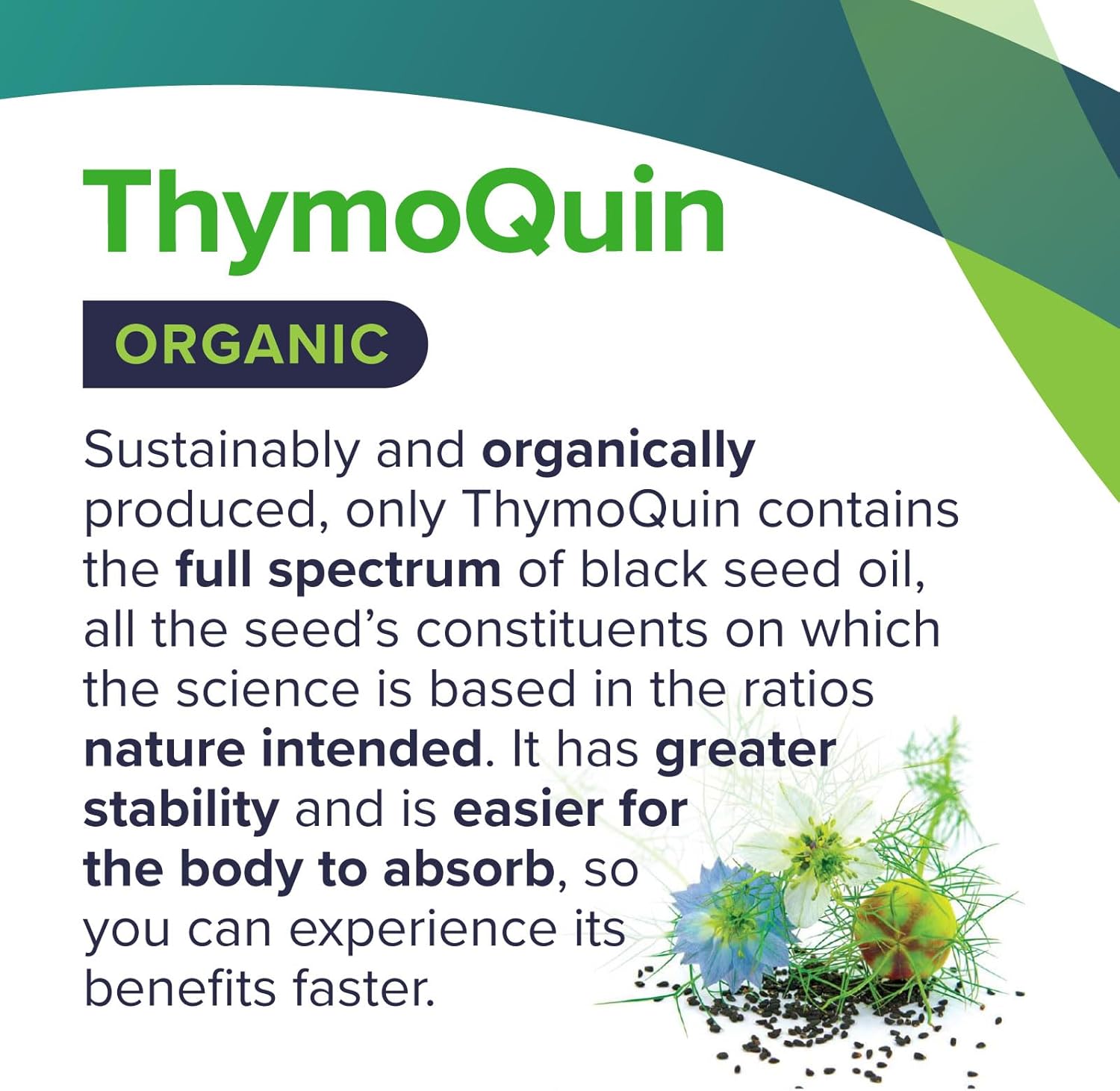 USDA Certified Organic Black Seed Oil 2 Pack | Cold-Pressed Nigella Sativa with 3% Thymoquinone | Immune, Skin, & Joint Health Support