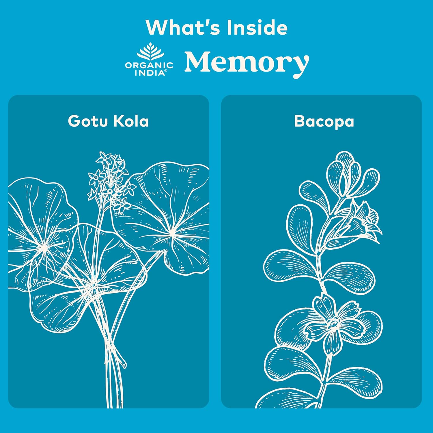 USDA Certified Organic Memory Support Supplement with Bacopa Monnieri & Gotu Kola - Herbal Brain Supplement for Memory and Focus - Non-GMO - 90 Capsules