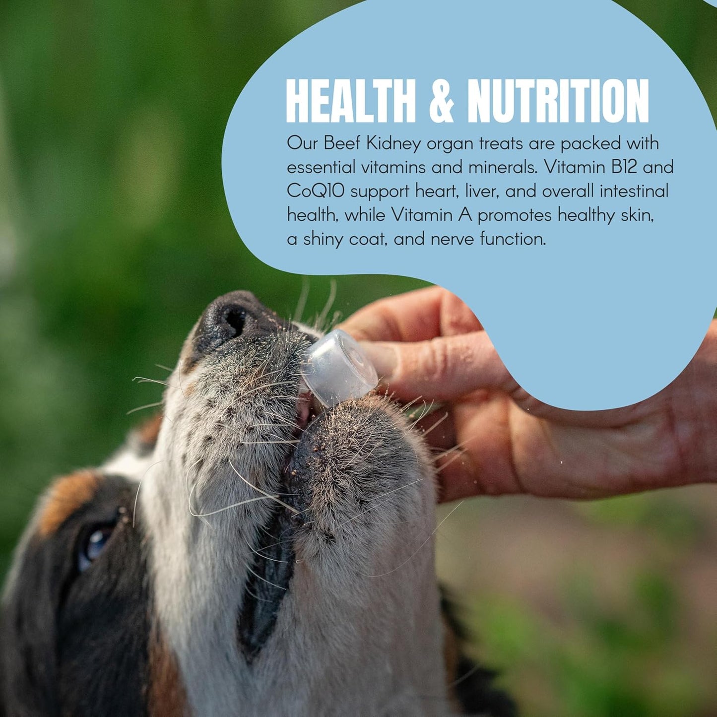 Utah Family-Owned Ranch Grass-Fed Beef Organ Blend for Dogs | 60-Day Supply | Best Dog Organ Supplement | Beef Kidney for Training & Treats | All Breeds