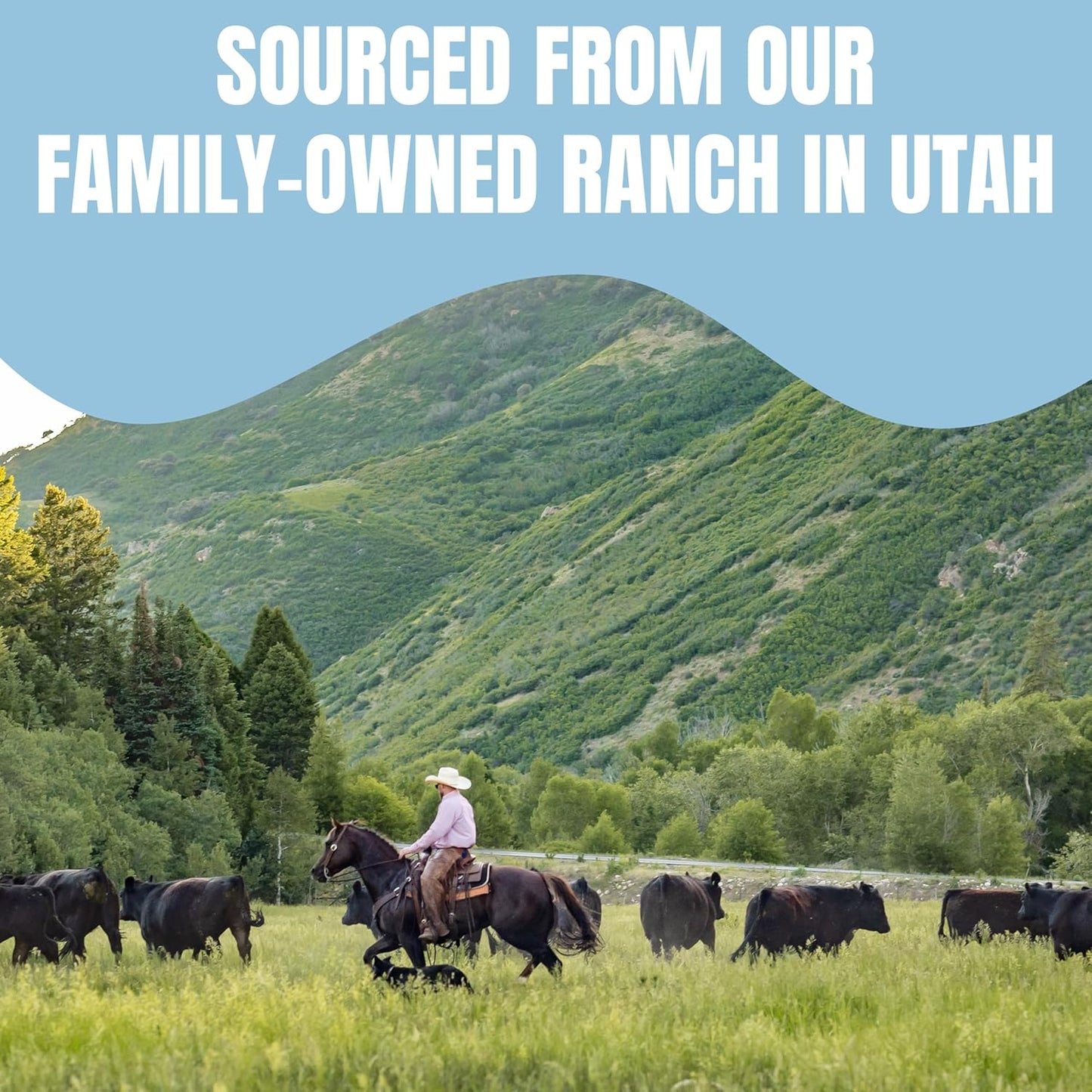 Utah Family-Owned Ranch Grass-Fed Beef Organ Blend for Dogs | 60-Day Supply | Best Dog Organ Supplement | Beef Kidney for Training & Treats | All Breeds