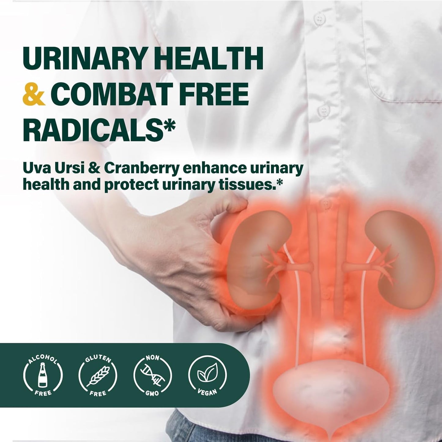 Uva Ursi Herbal Liquid Drops for Urinary Health - Diuretic & Detox Support - Antioxidant Rich - 2oz