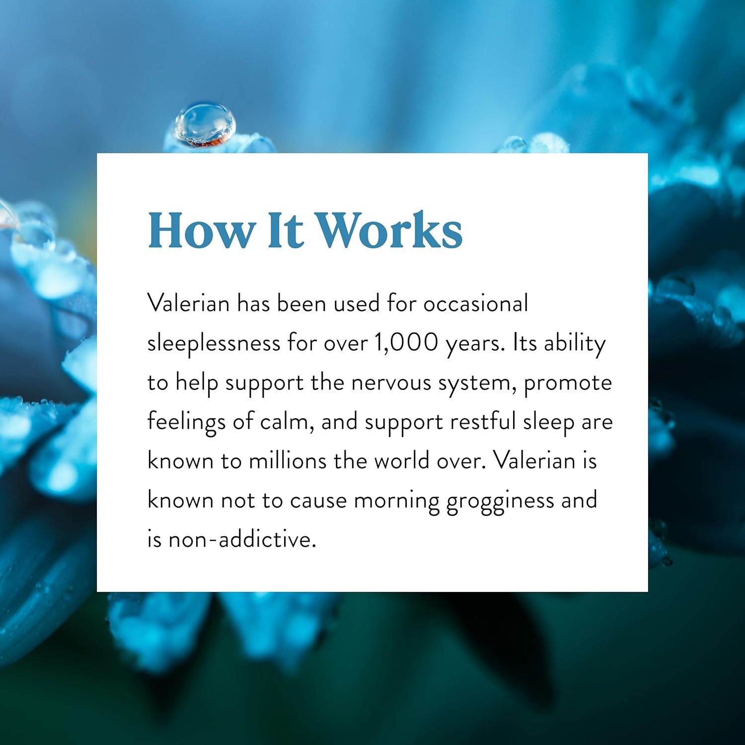 Valerian Root Capsules - Herbal Supplement for Relaxation, Sleep Support, Nervous System Aid - 100 Count