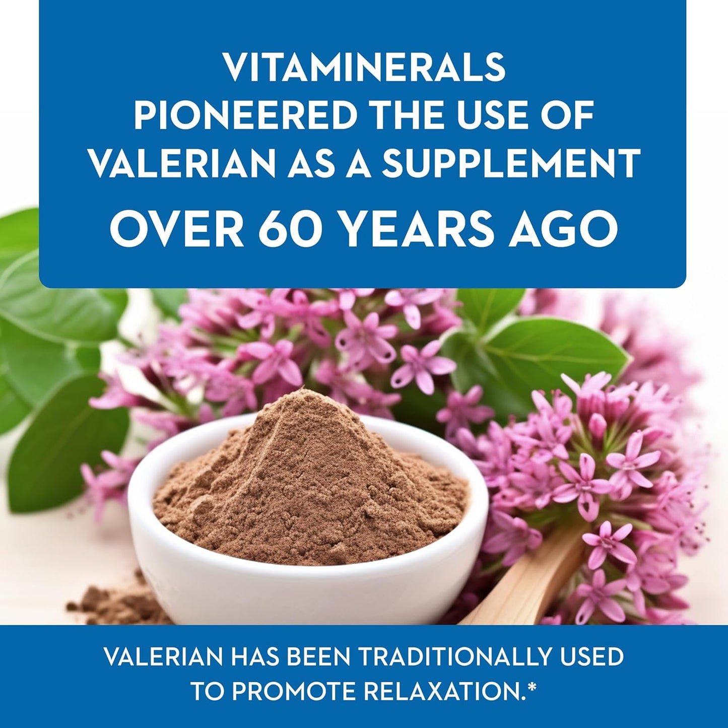 Valerian Root Extract Supplement for Natural Relaxation Support - 60 Capsules