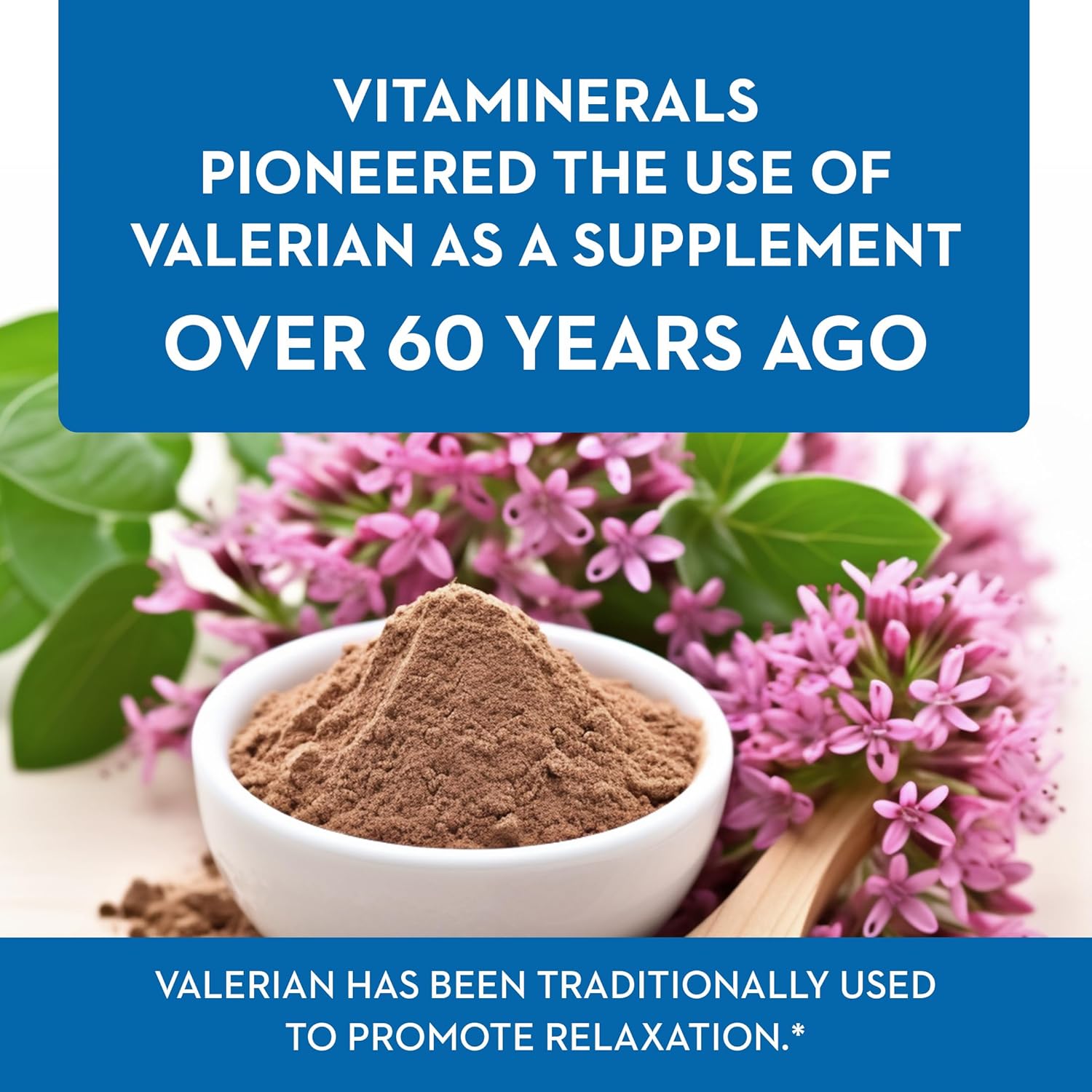 Valerian Root Supplement for Natural Relaxation Support - Vitaminerals 33 Baldrian® Original (250 Capsules)