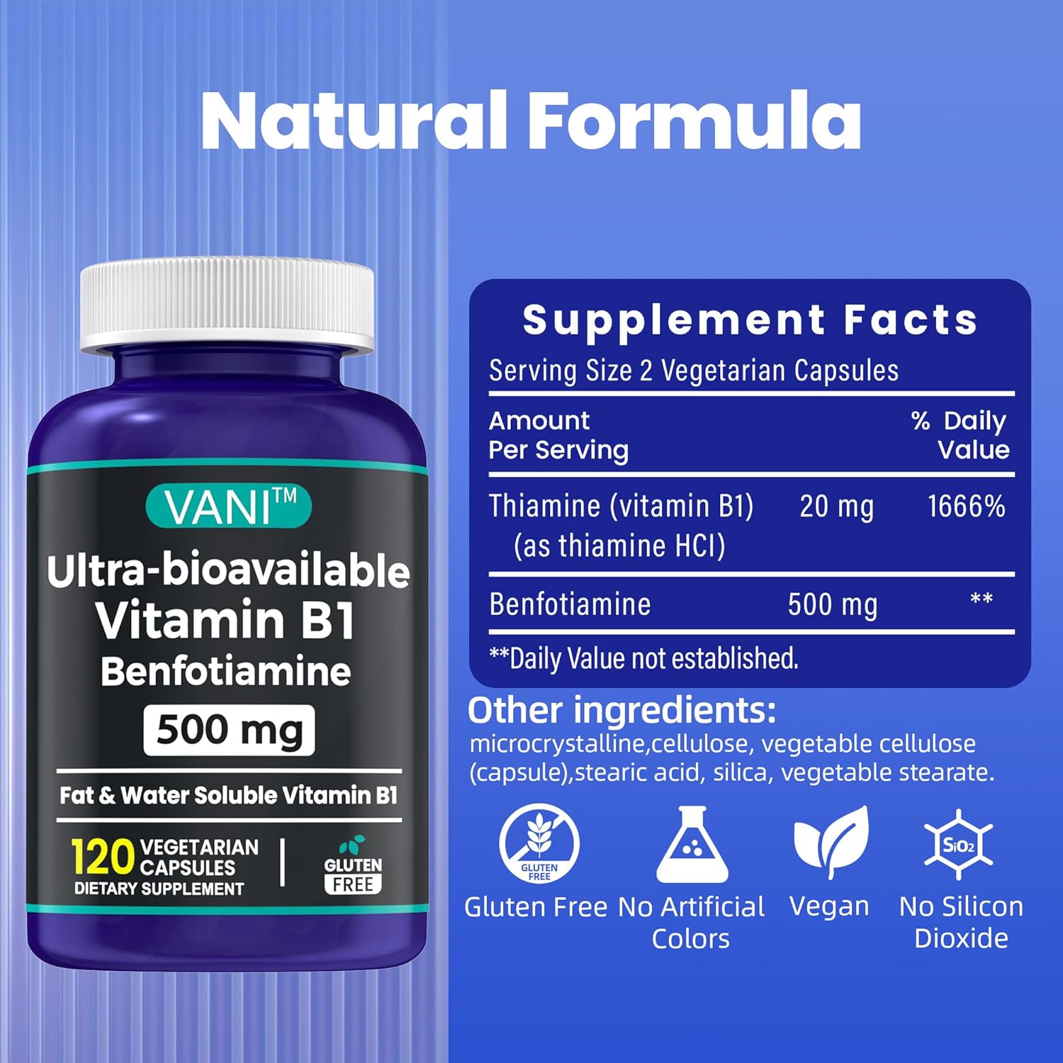 VANI 2 in 1 Enhanced Formula: Vitamin B1 with Benfotiamine 500mg - Fat Soluble Supplement - 120 Capsules