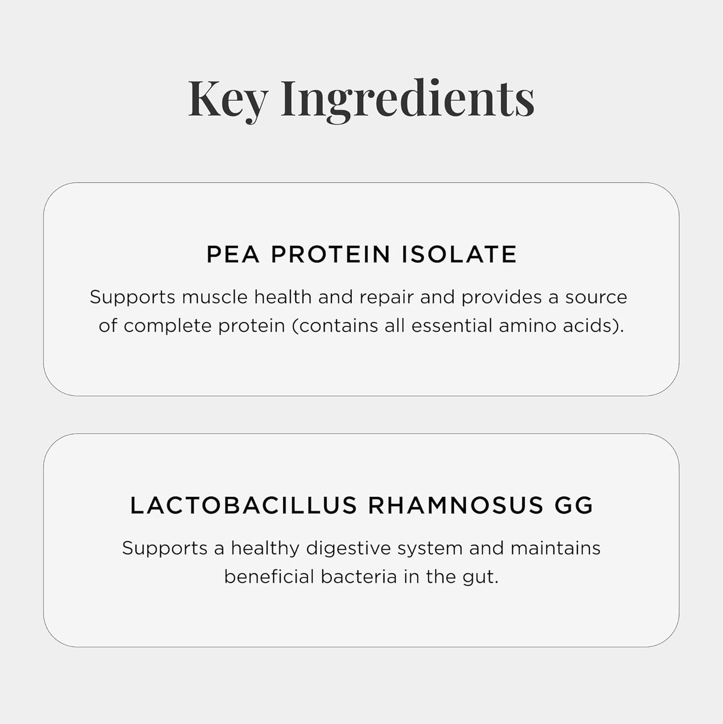 Vanilla Bean Flavored Vegan Pea Protein Powder with Probiotics - 300g, Gluten Free, Non GMO - Plant Based Protein Drink Mix