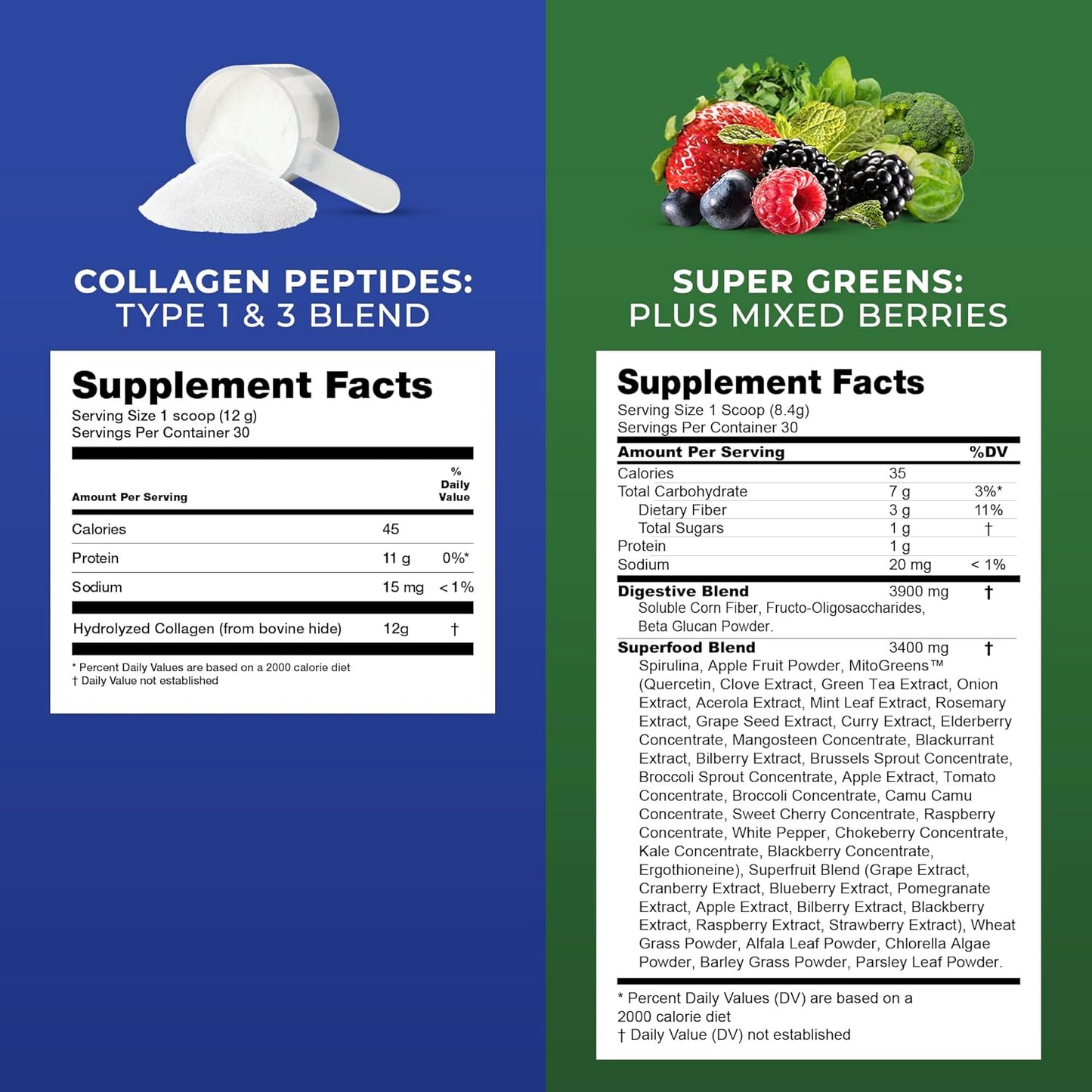 Vanilla & Chocolate Protein Powder with Super Greens and Collagen Peptides - Performance Shaker Included