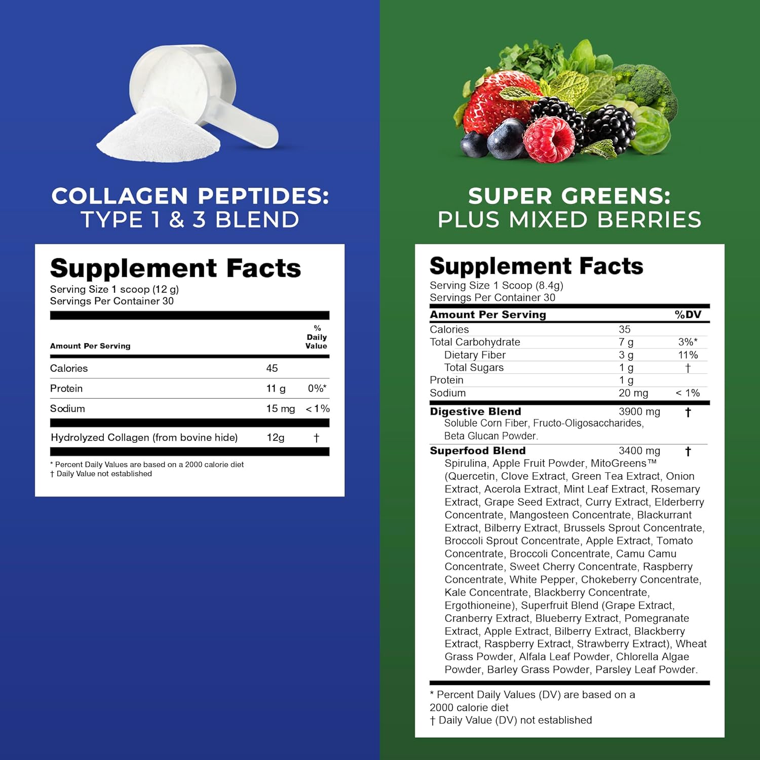 Vanilla & Chocolate Protein Powder with Super Greens and Collagen Peptides - Performance Shaker Included