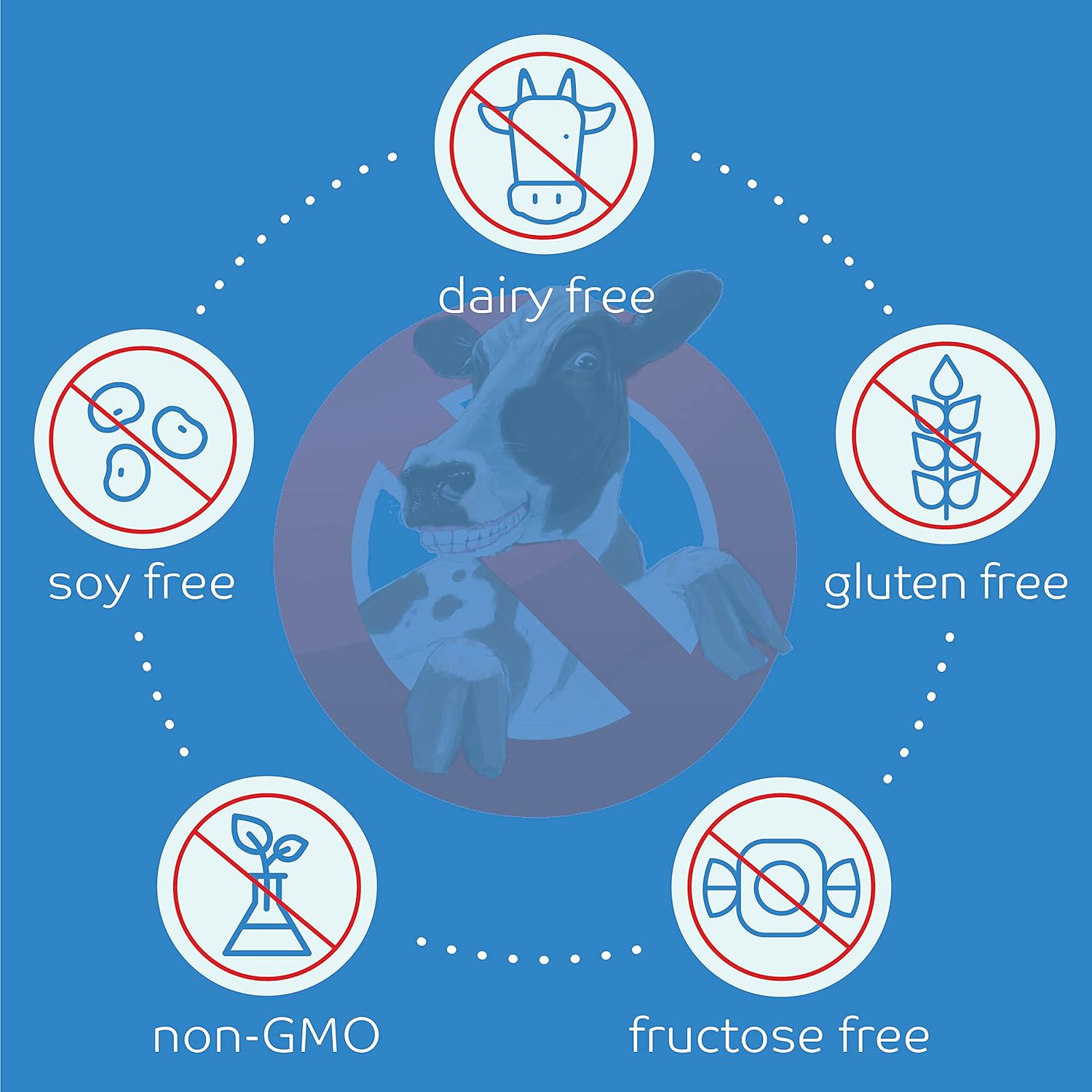 Vanilla Delight Dairy-Free Vegan Protein Powder - Soy-Free Formula by No Udder Protein