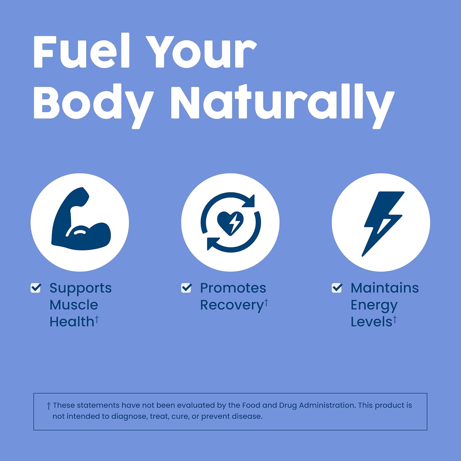 Vanilla NativePath Complete Protein Powder - 30 Servings