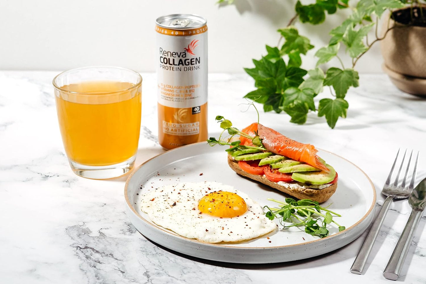 Variety Pack Reneva Collagen Protein Drink with 10g Collagen Peptides, Electrolytes, B-Vitamins, Zinc, and No Sugar