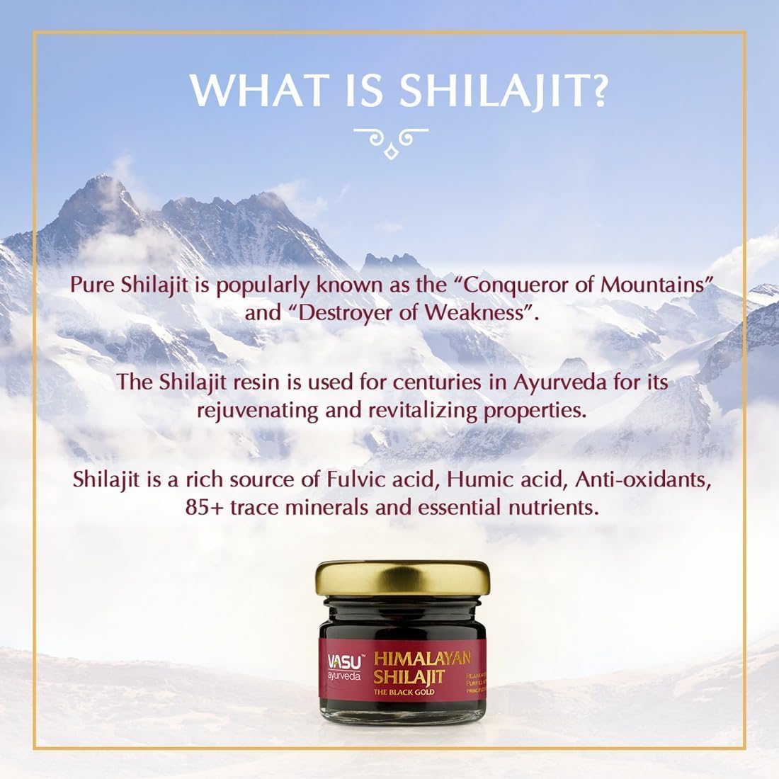 Vasu Ayurveda Himalayan Shilajit Resin: Highest Potency, 100% Natural, Lab Tested - Pure Fulvic Acid & 85+ Trace Minerals - Black Gold - 100 Day Supply - Energy Booster - Pack of 2