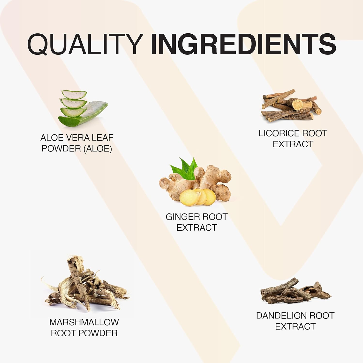 Vatellia Life Eaters Digest Prebiotic Probiotic Digestive Support Gut Health 120 Capsules