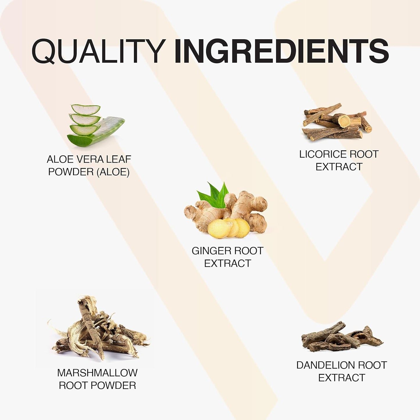 Vatellia Life Eaters Digest Prebiotic Probiotic Digestive Support Gut Health 120 Capsules