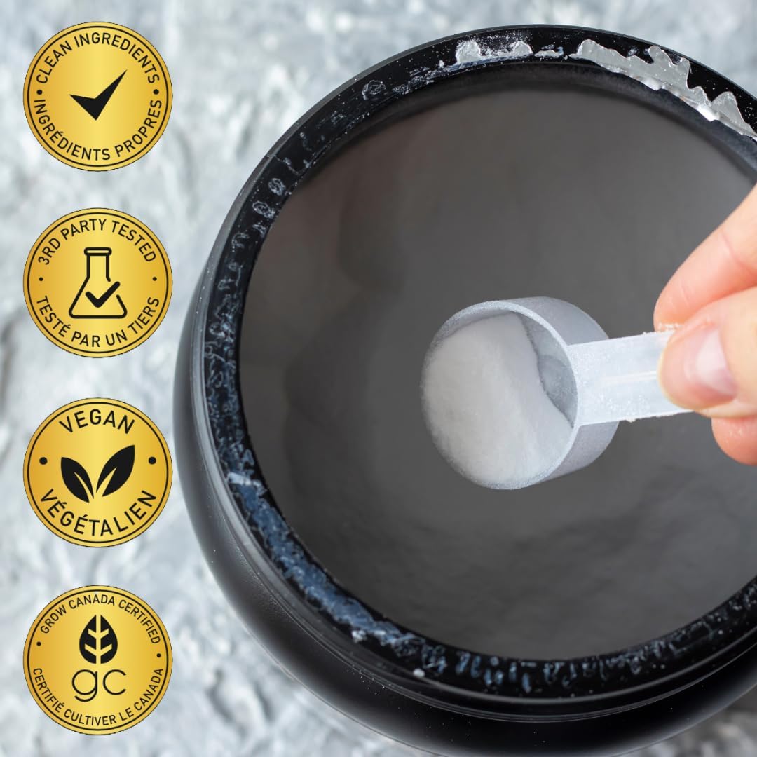 VEGAIN Micronized Creatine Monohydrate Powder - 60 Servings, Pharmaceutical Grade, Muscle Builder, Vegan, 300g