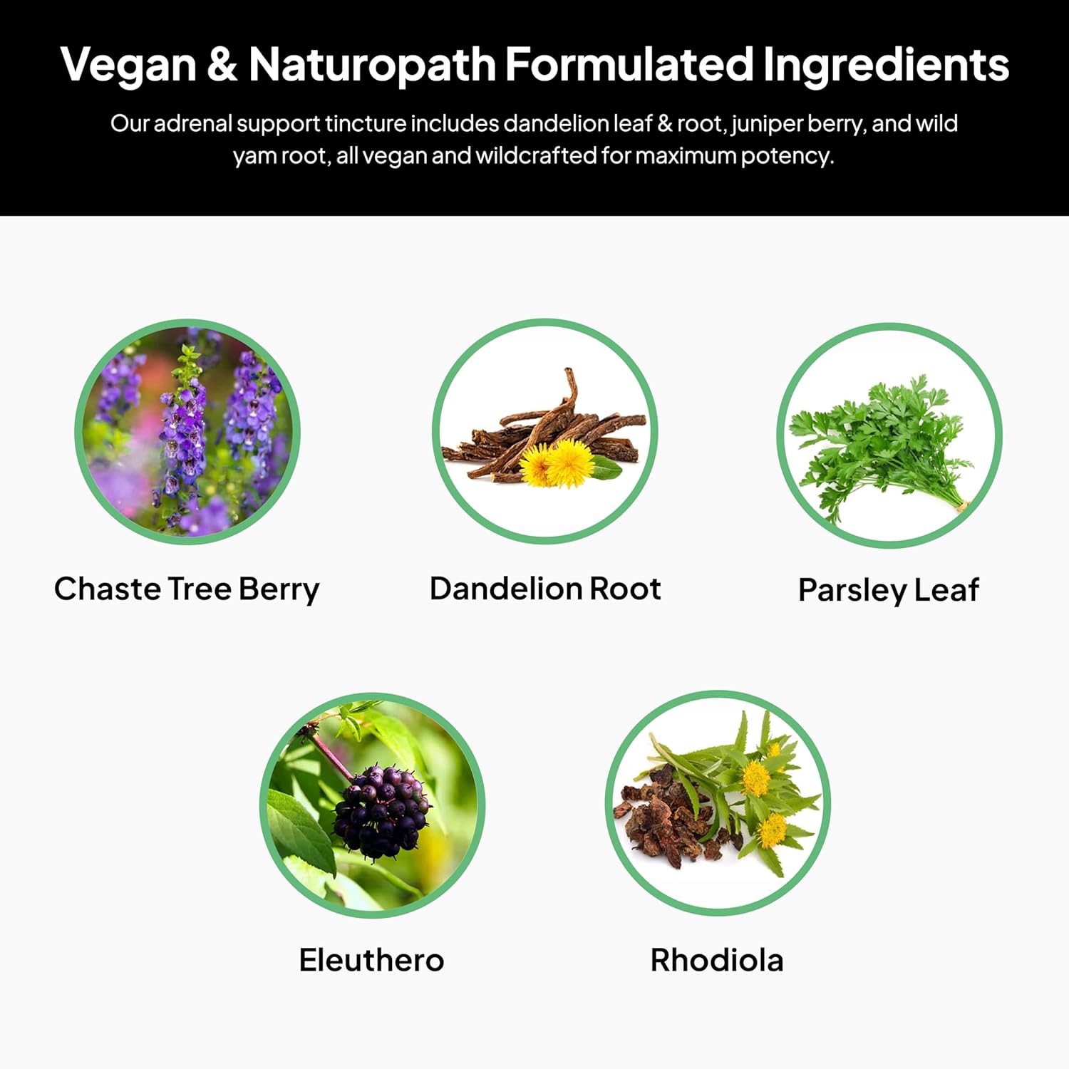 Vegan Adrenal Support Tincture for Stress Relief - Naturopath Formulated with Chaste Tree Berry, Dandelion Root, and Rhodiola - 2oz