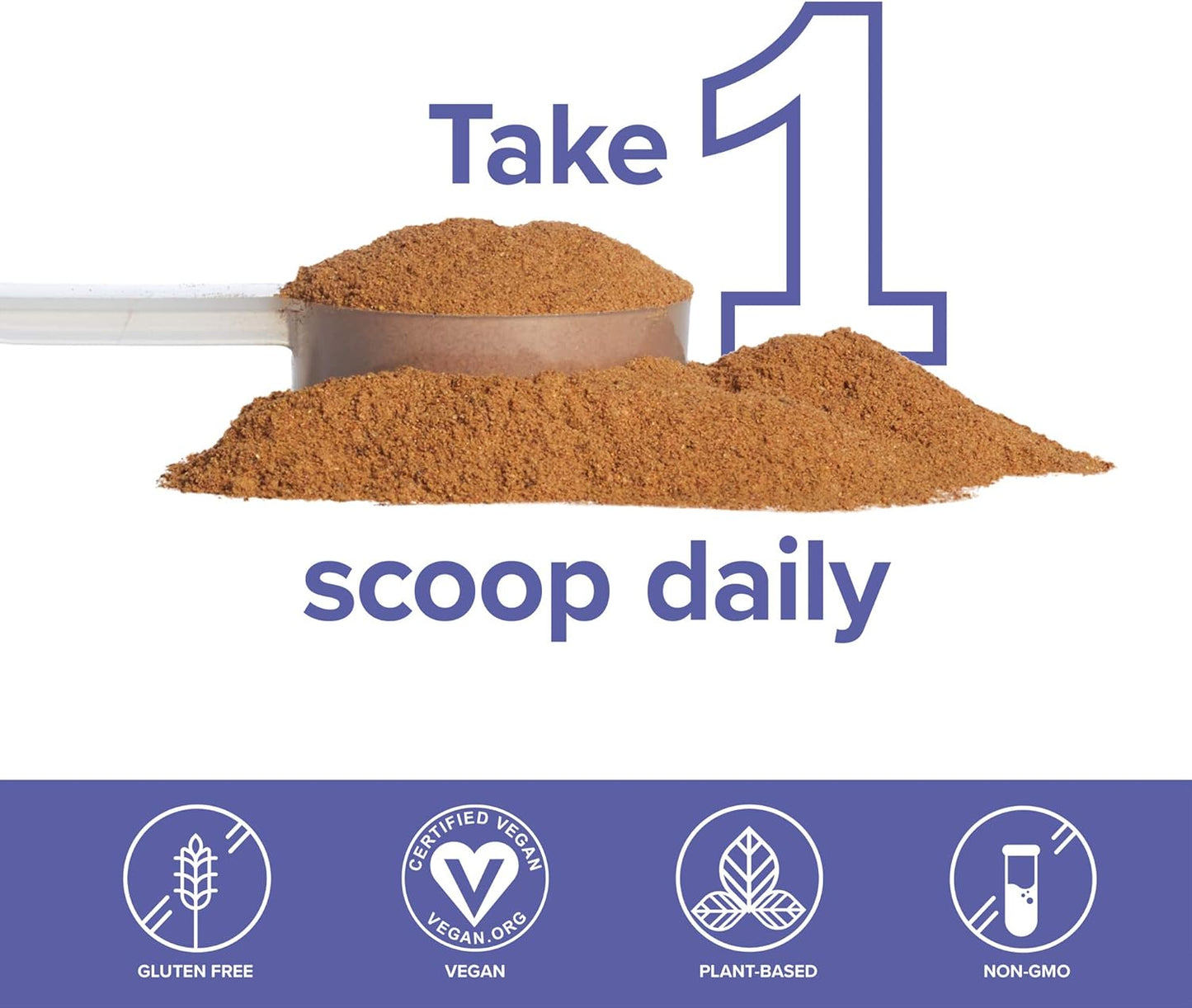 Vegan Antioxidant Superfood Powder for Vibrant Health - 30 Servings