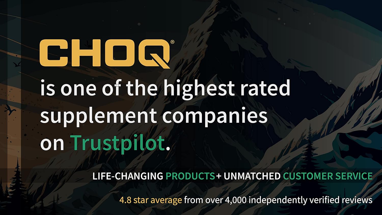 Vegan CHOQ Armor Capsules with Quercetin Phytosome for Immune Defense & Healthy Histamine Levels