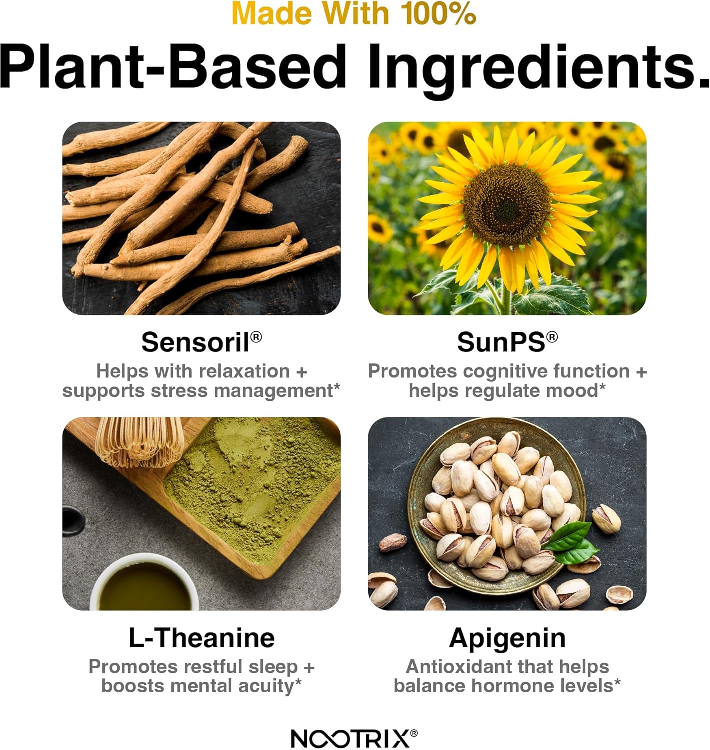 Vegan Cortisol Supplement for Deep Sleep & Relaxation | Ashwagandha, L-Theanine, Rhodiola Rosea Extract | 30 Capsules