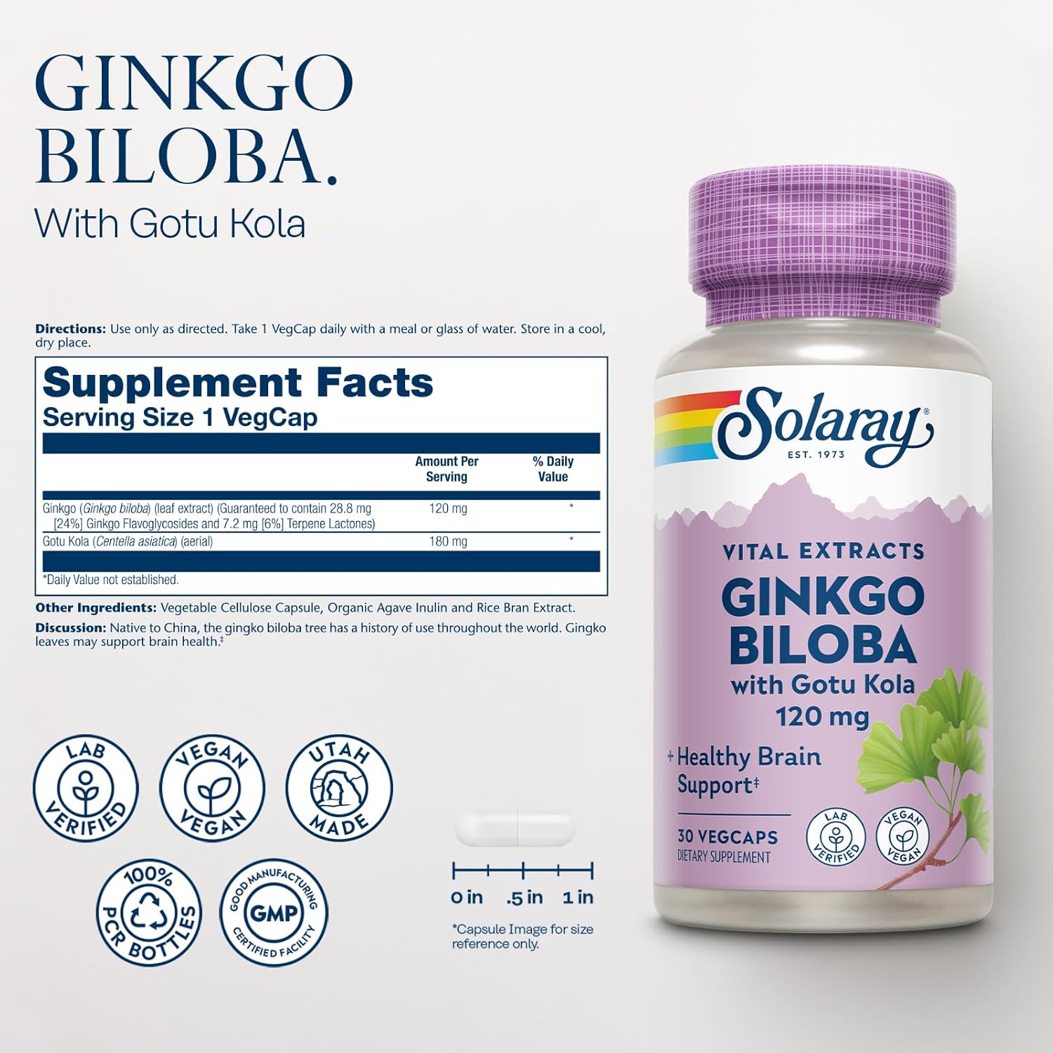 Vegan Ginkgo Biloba Capsules with Gotu Kola for Brain Health - Lab Verified, 30 Servings, 60-Day Guarantee