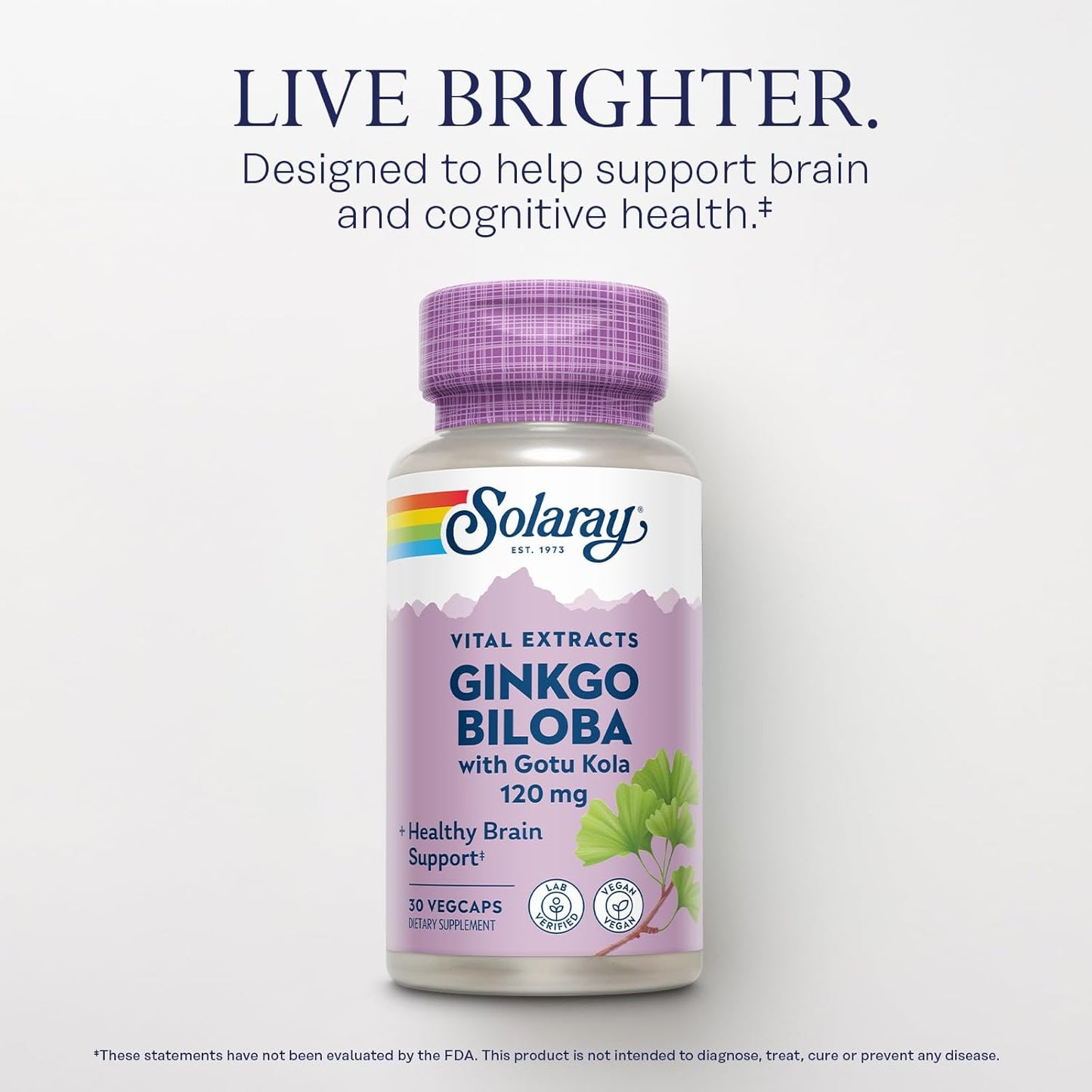 Vegan Ginkgo Biloba Capsules with Gotu Kola for Brain Health - Lab Verified, 30 Servings, 60-Day Guarantee