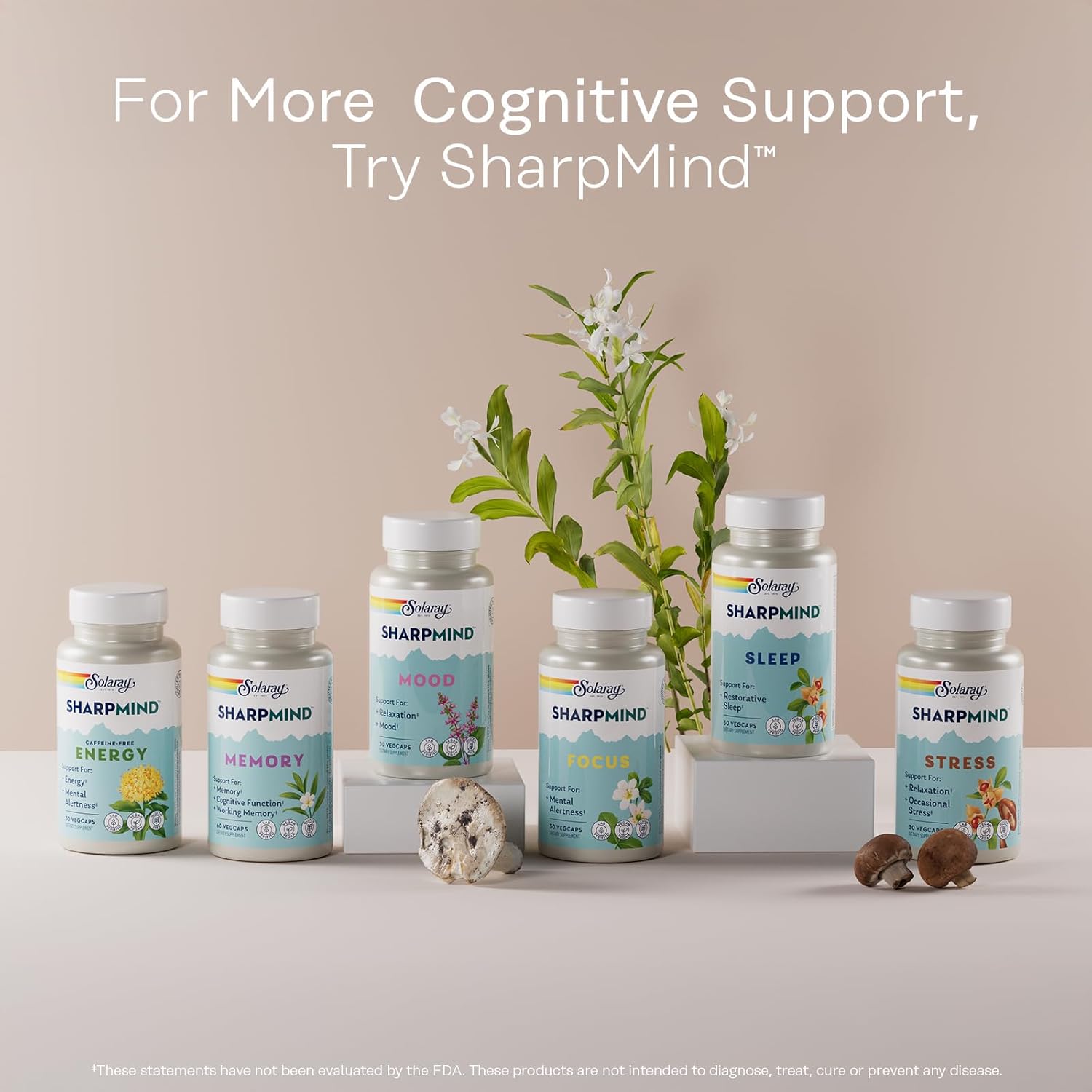 Vegan Ginkgo Biloba Capsules with Gotu Kola for Brain Health - Lab Verified, 30 Servings, 60-Day Guarantee