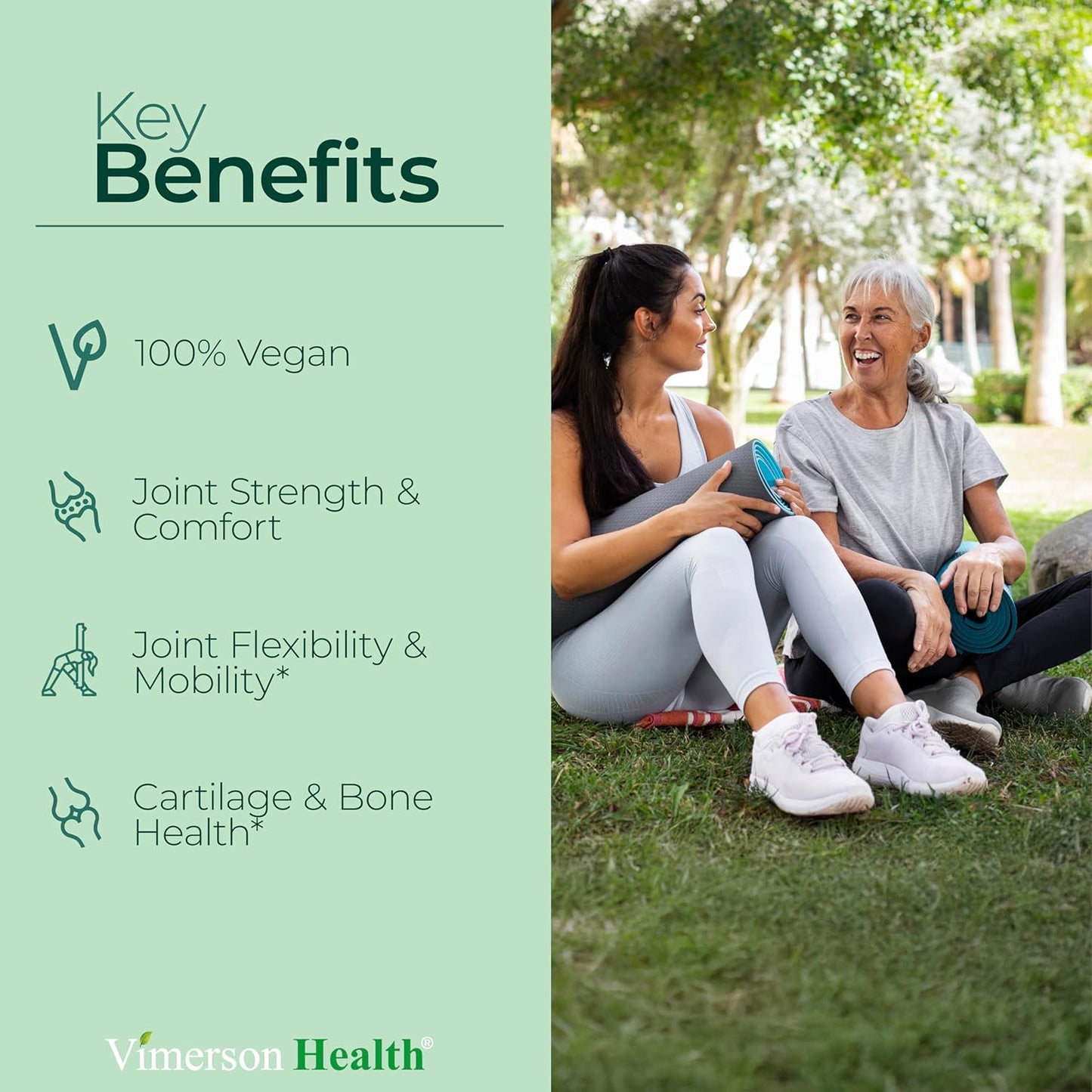 Vegan Glucosamine Chondroitin MSM Supplement with Burdock - Joint Support for Women & Men - Cartilage & Joint Health - 2 Pack