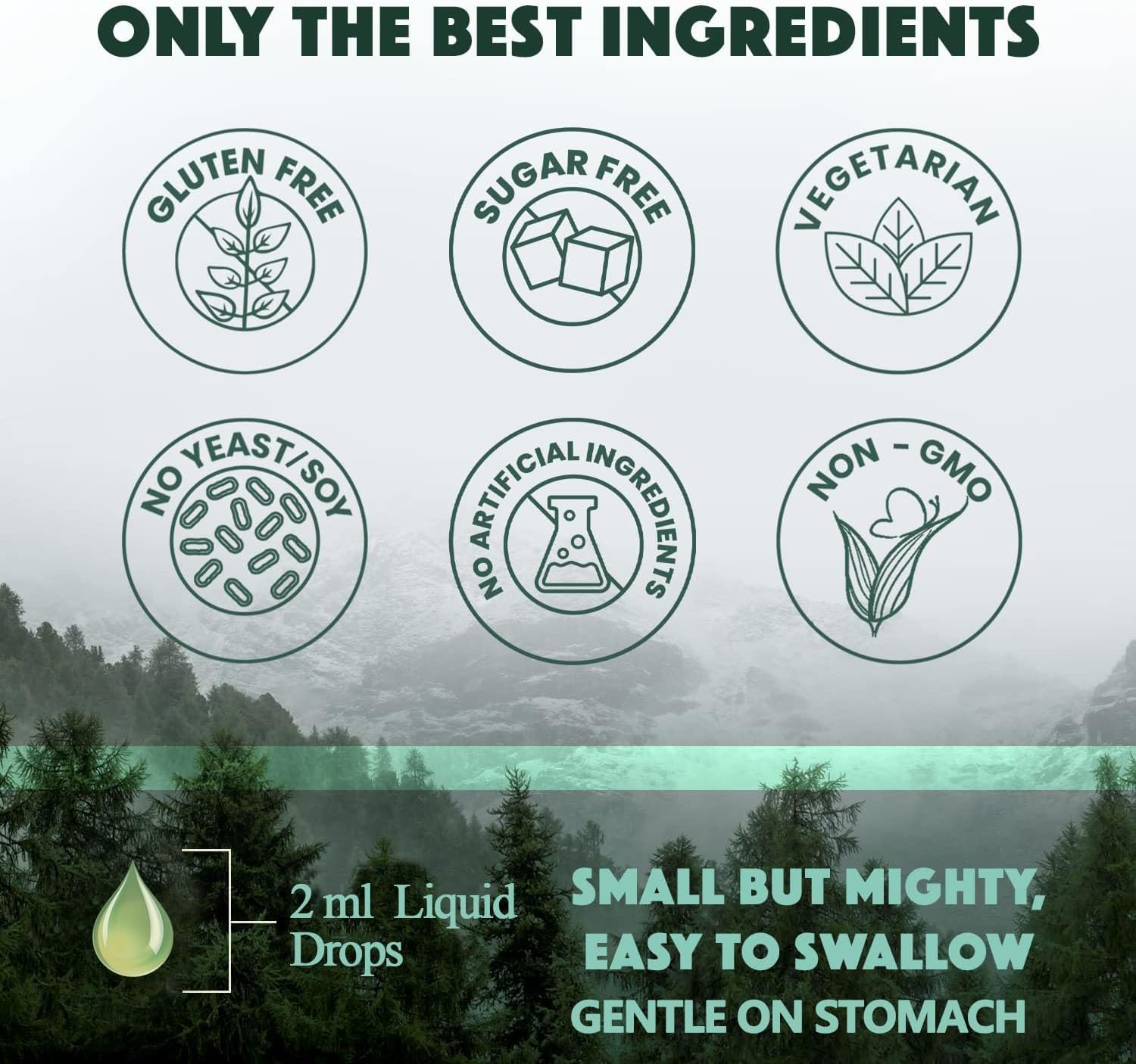 Vegan Iron+D3 K2 Vitamin Bundle with B-Complex and Vitamin C for Overall Well-Being