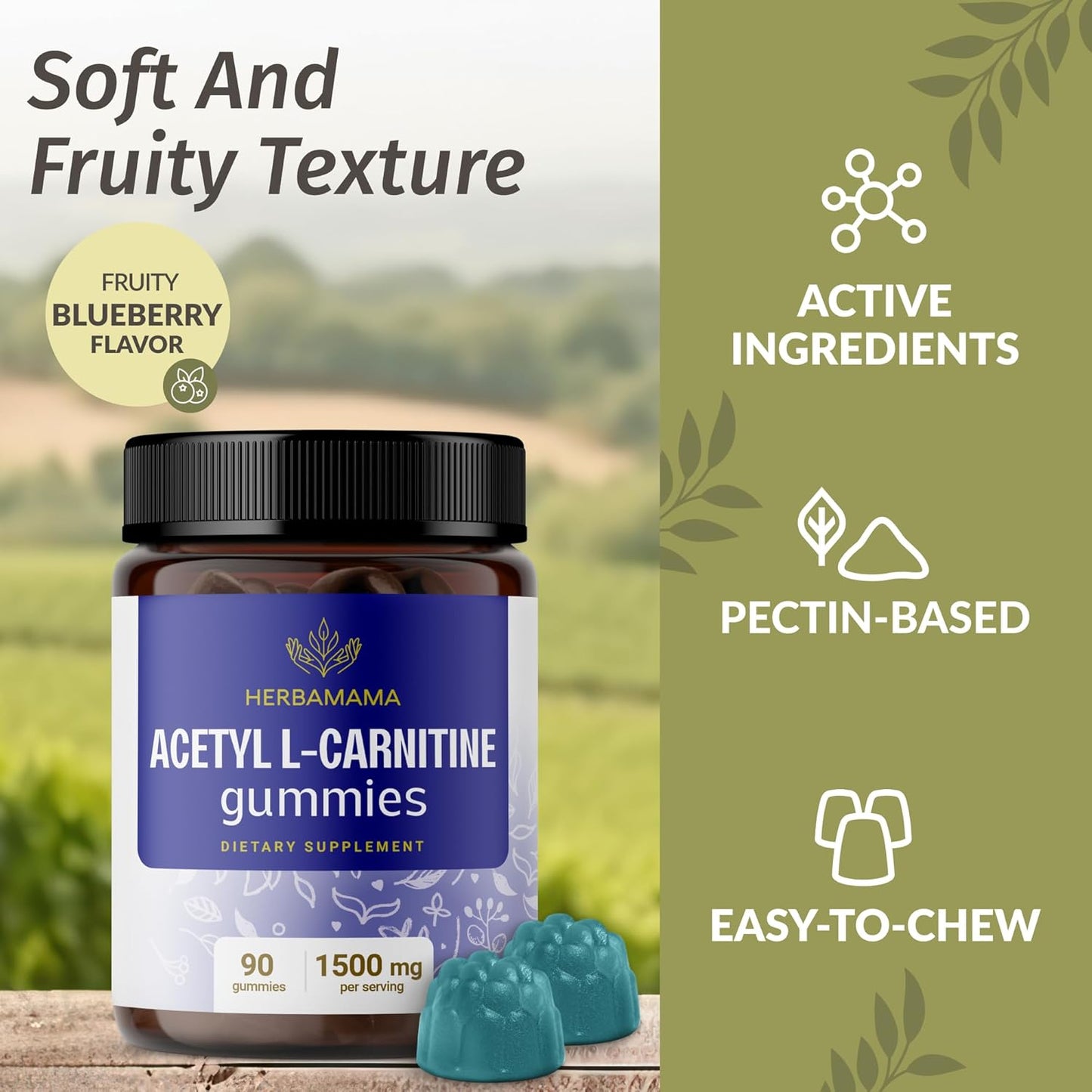 Vegan L-Carnitine and CoQ10 Gummy Bundle - 1500mg Acetyl L-Carnitine & 200mg Coenzyme Q10 - Non-GMO, Gelatin-Free - 2 Pack