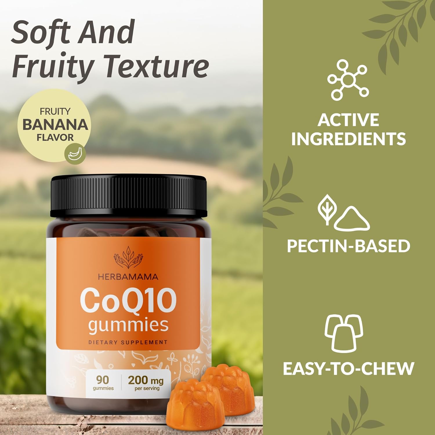 Vegan L-Carnitine and CoQ10 Gummy Bundle - 1500mg Acetyl L-Carnitine & 200mg Coenzyme Q10 - Non-GMO, Gelatin-Free - 2 Pack