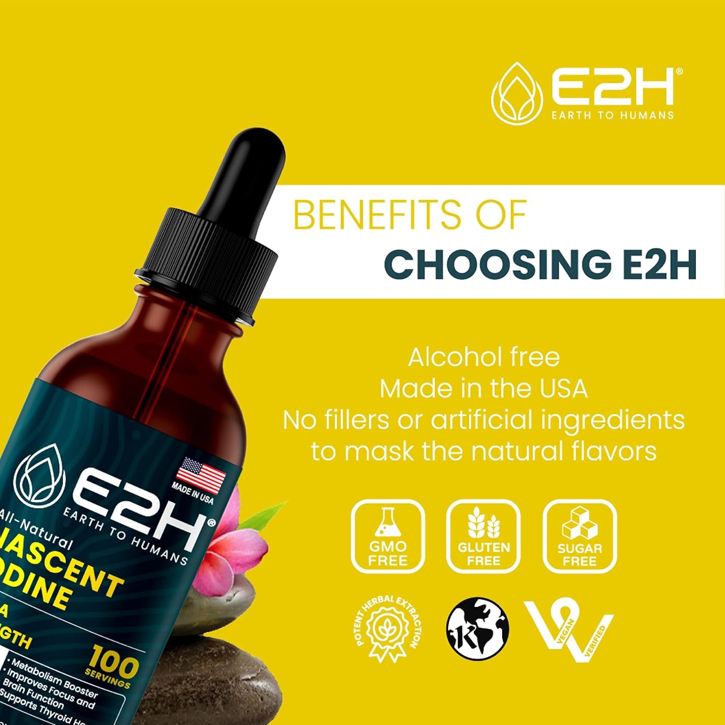 Vegan Liquid Iodine for Thyroid Support and Energy Boost - Non-GMO - E2H Earth to Humans E2H - 2 Bottles