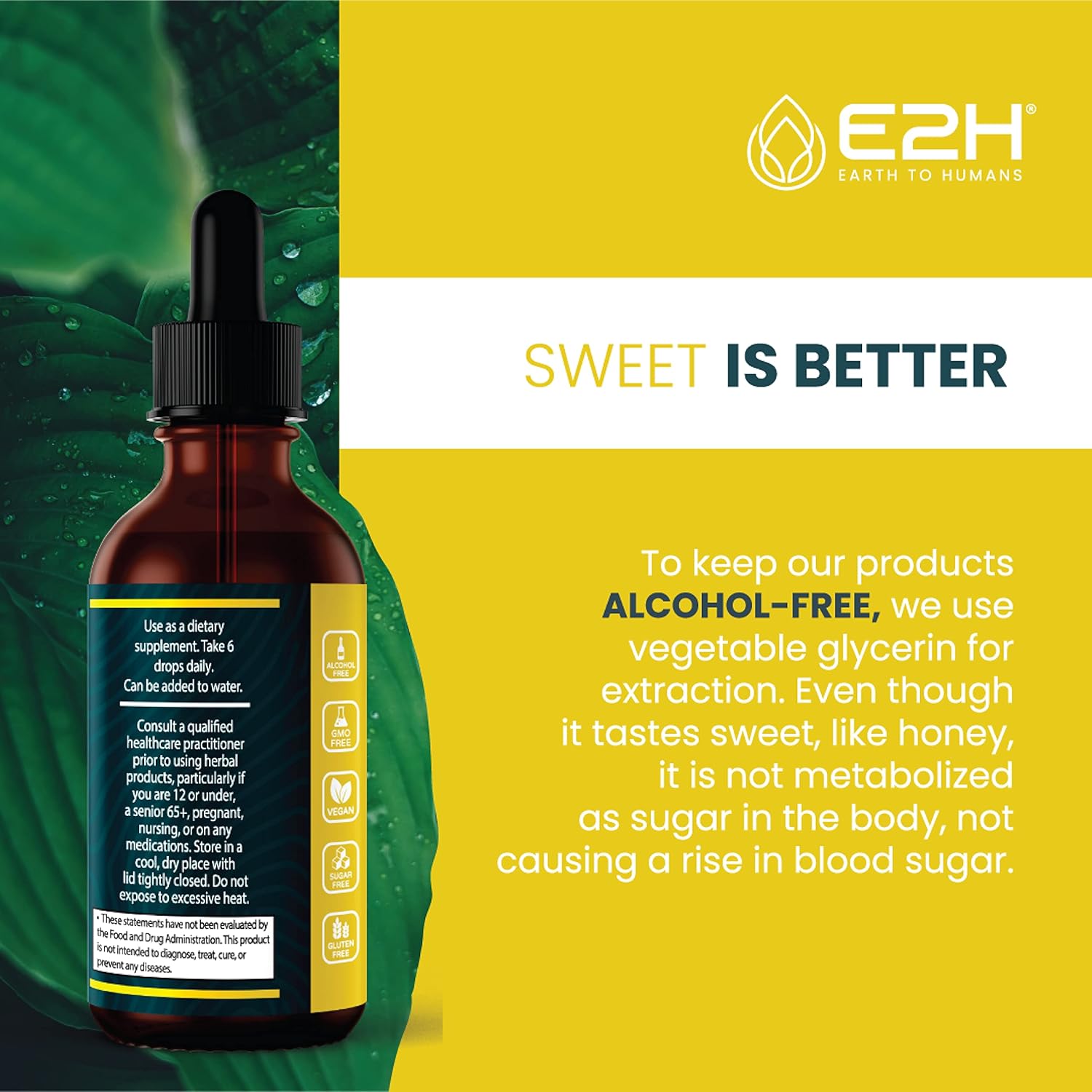 Vegan Liquid Iodine for Thyroid Support and Energy Boost - Non-GMO - E2H Earth to Humans E2H - 2 Bottles