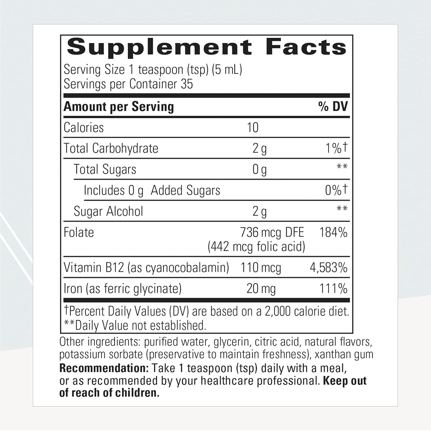 Vegan Liquid Iron Supplement with Vitamin B12 and Folate for Energy Support - Gluten-Free & Dairy-Free - Apple Cinnamon Flavored - 6 fl oz