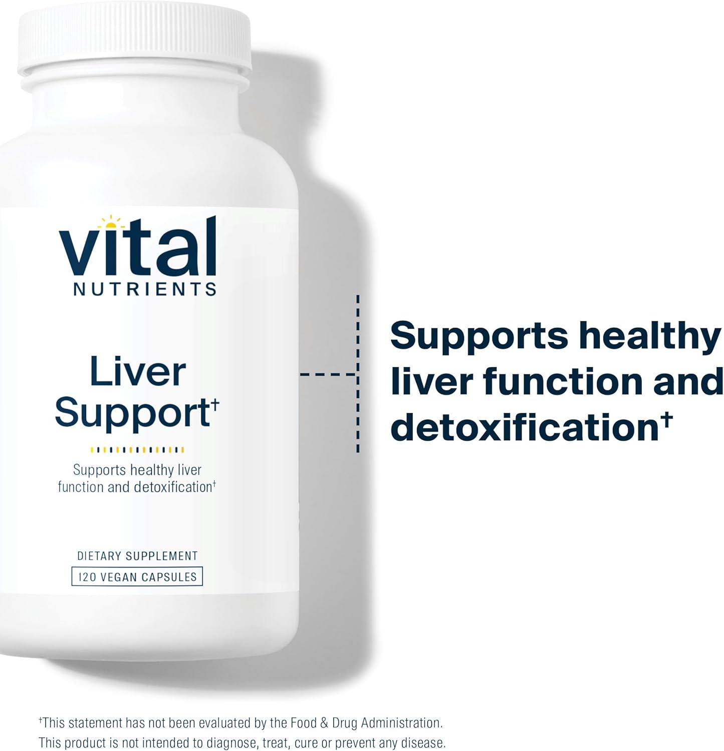 Vegan Liver Support Supplement with Milk Thistle and Curcumin - 120 Capsules | Promotes Healthy Liver Function | Gluten, Dairy, Soy Free