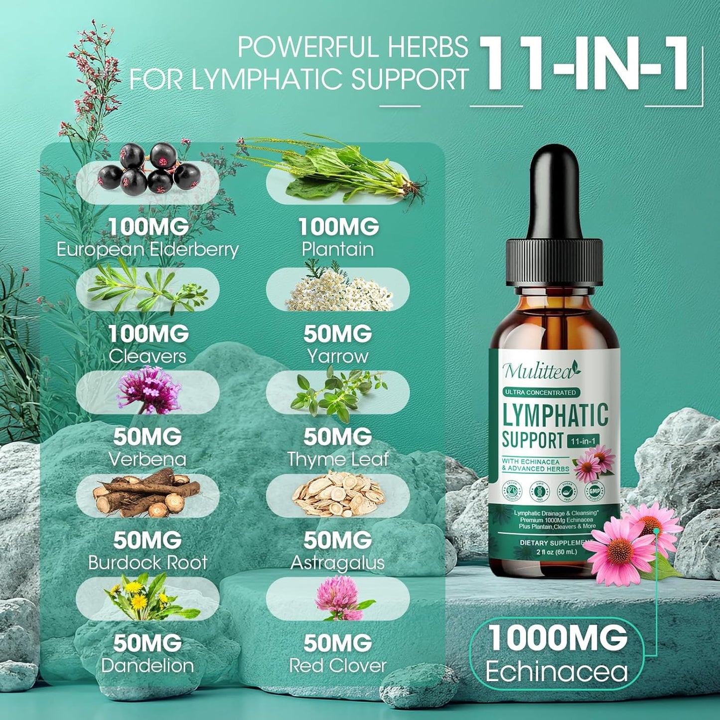 Vegan Lymphatic Drainage Drops with 11 Supplements for Lymph System Support - Detox Cleanse - Non-GMO - 2 fl oz - 60 Servings - 2 Pack