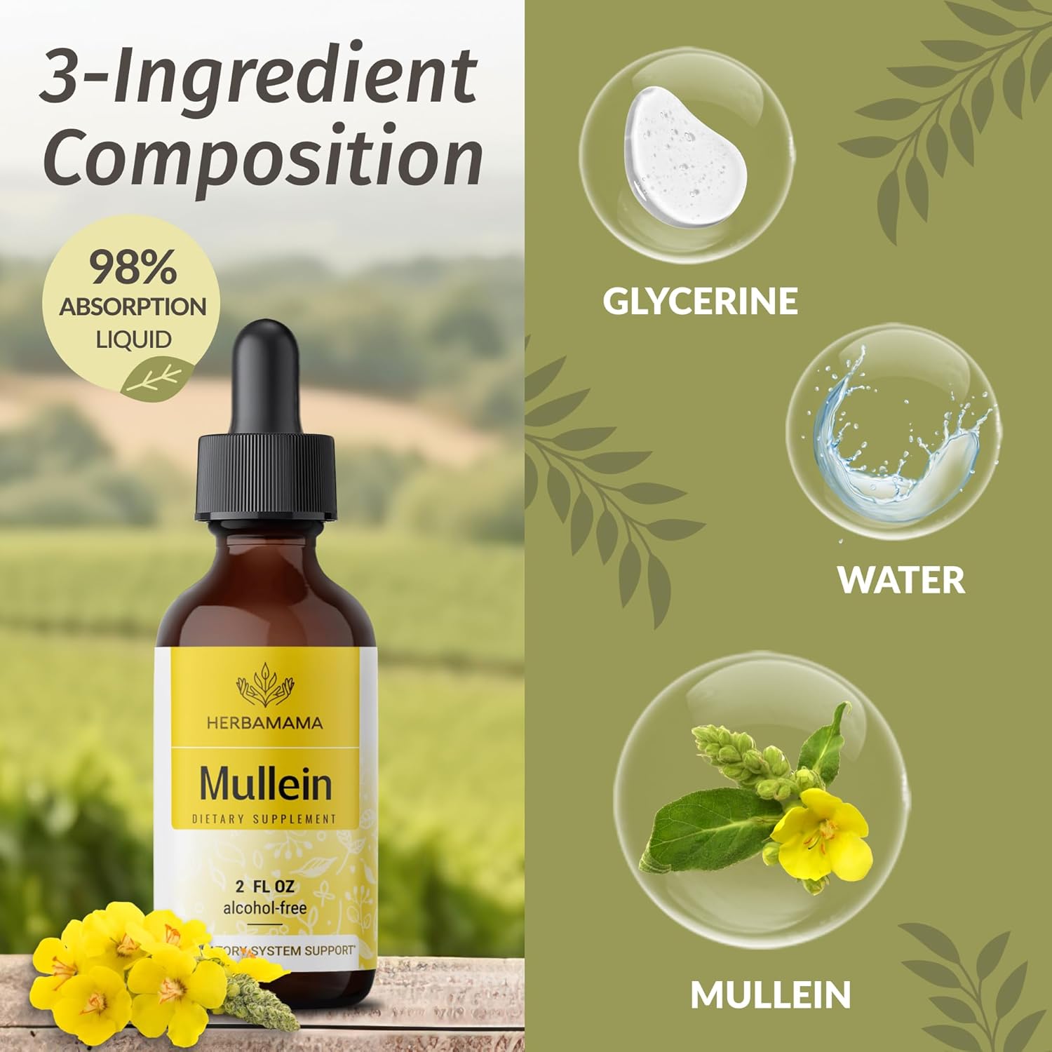 Vegan Mullein Leaf Extract Drops for Lung Detox Support - Non-GMO Respiratory Supplement - 28-Day Supply