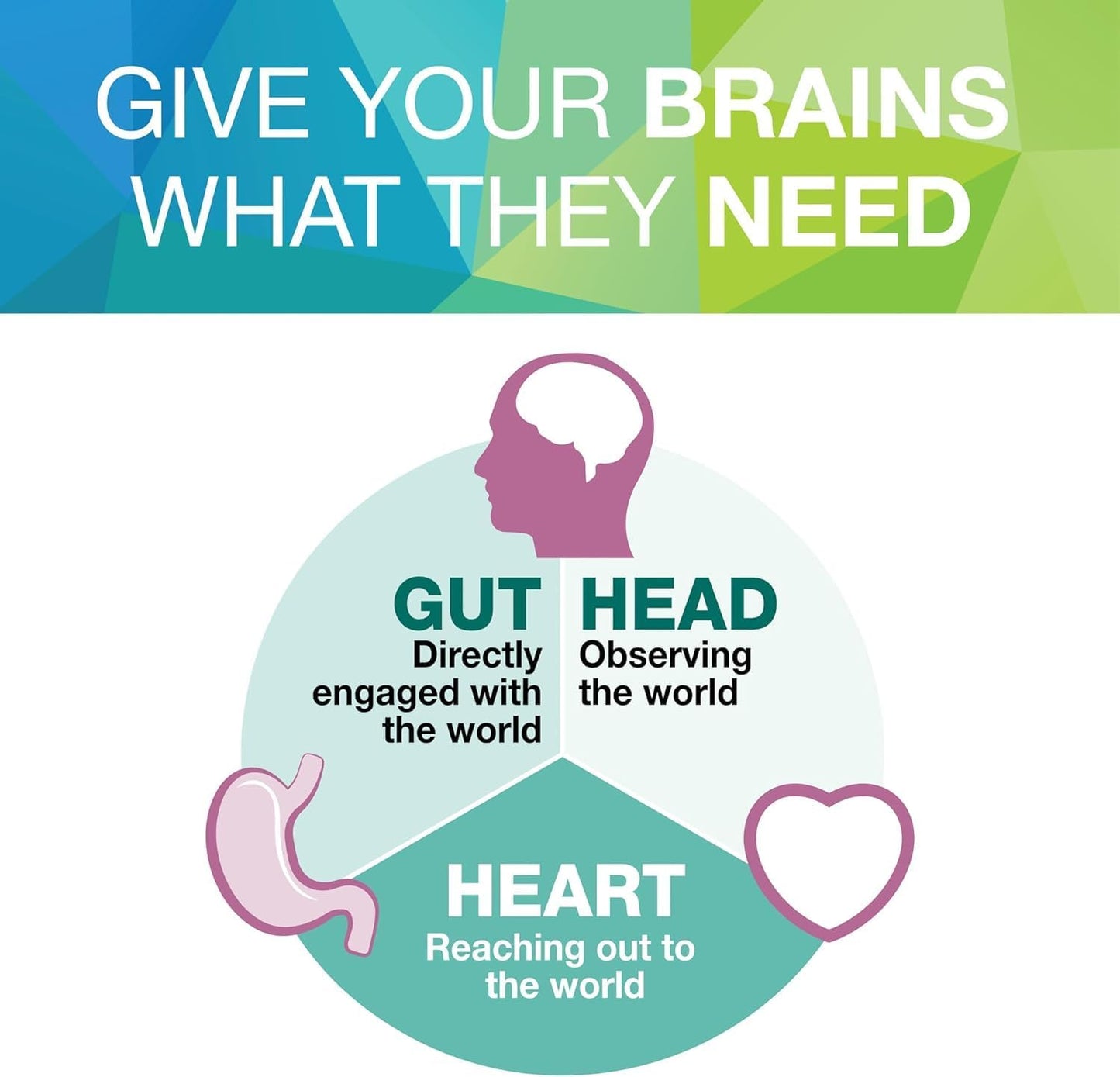 Vegan Natural Factors 3 Brains Best-Sleep Support for Relaxation & Restful Sleep - 90 Capsules