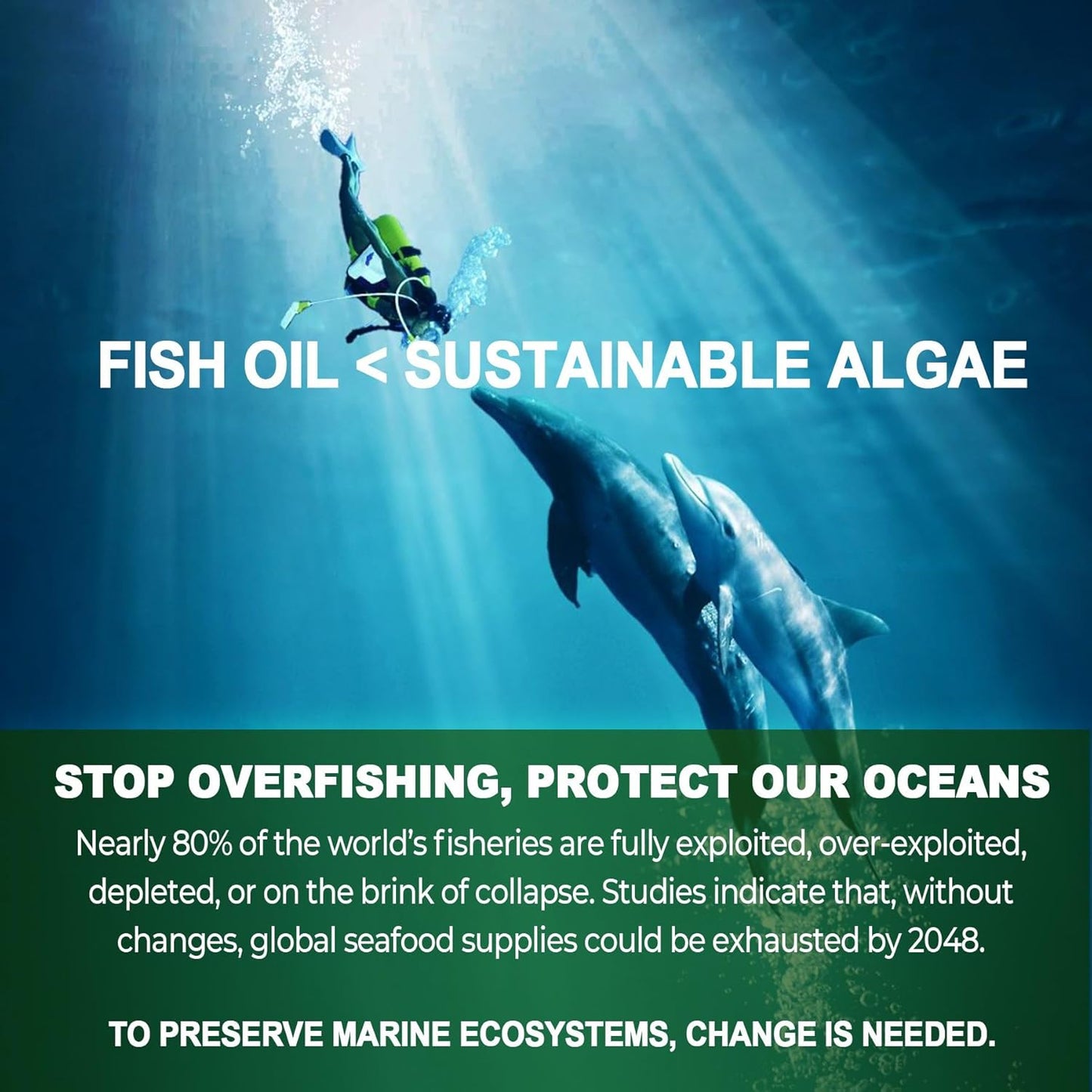 Vegan Omega 3 Gummies with DHA, EPA, CoQ10, Astaxanthin, Vitamin E, A, D3 - Brain, Eye, Bone Support - Sugar Free - 120 Count