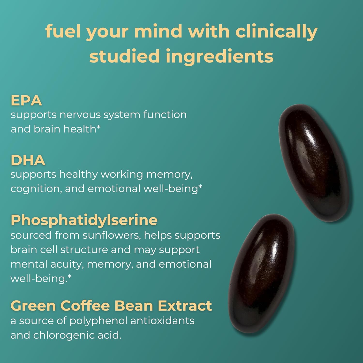 Vegan Plant-Based Algae Omega-3 Softgels for Focus, Memory, and Mood Support - 180 ct