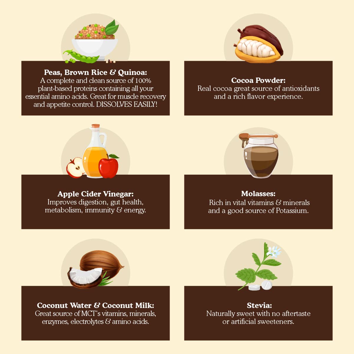 Vegan Plant Based Protein Powder Shake with Apple Cider Vinegar and Digestive Enzymes for Men & Women - 21g Protein (15 Servings, Cocoa Cream)